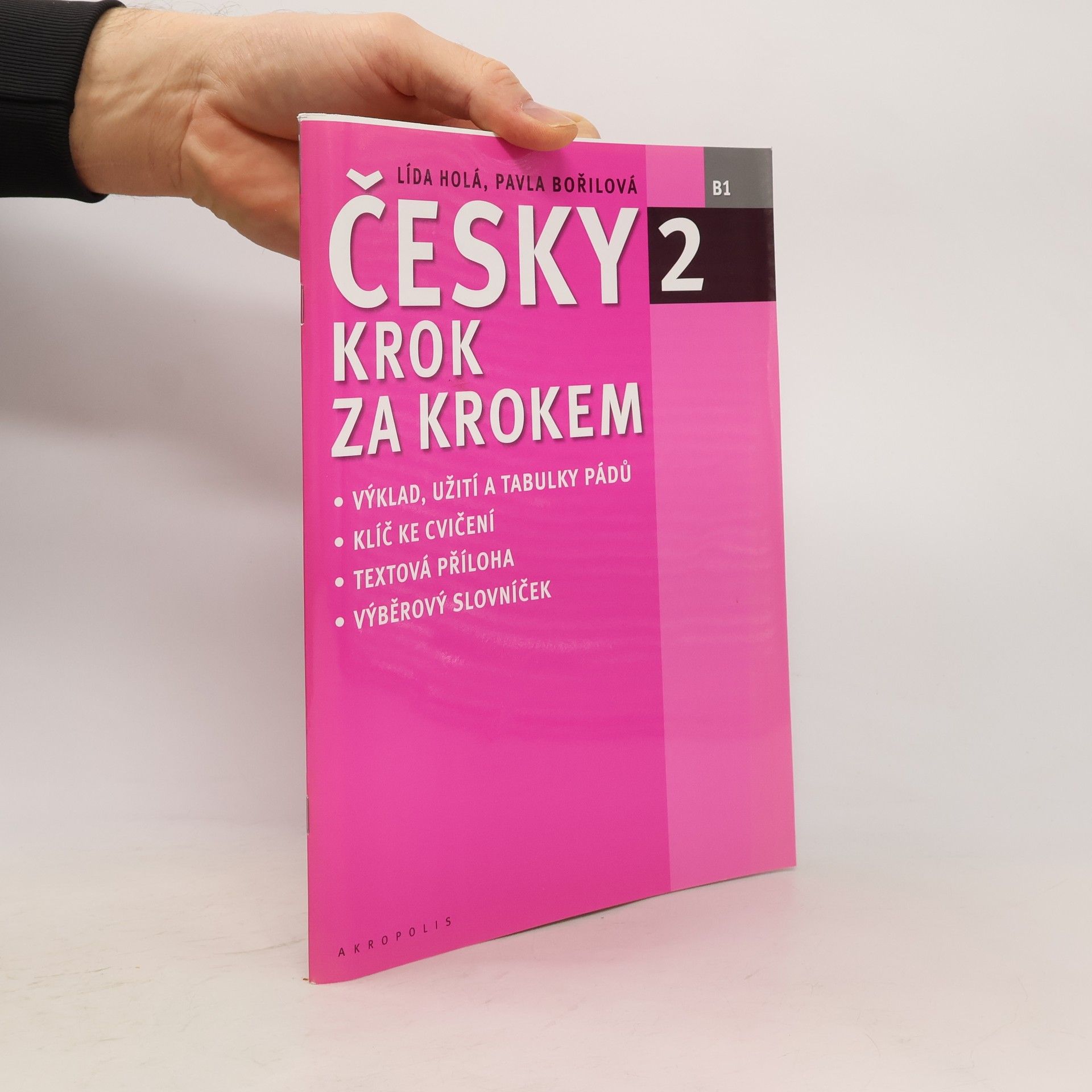 Lída Holá Česky krok za krokem 2. B1 (Příloha)