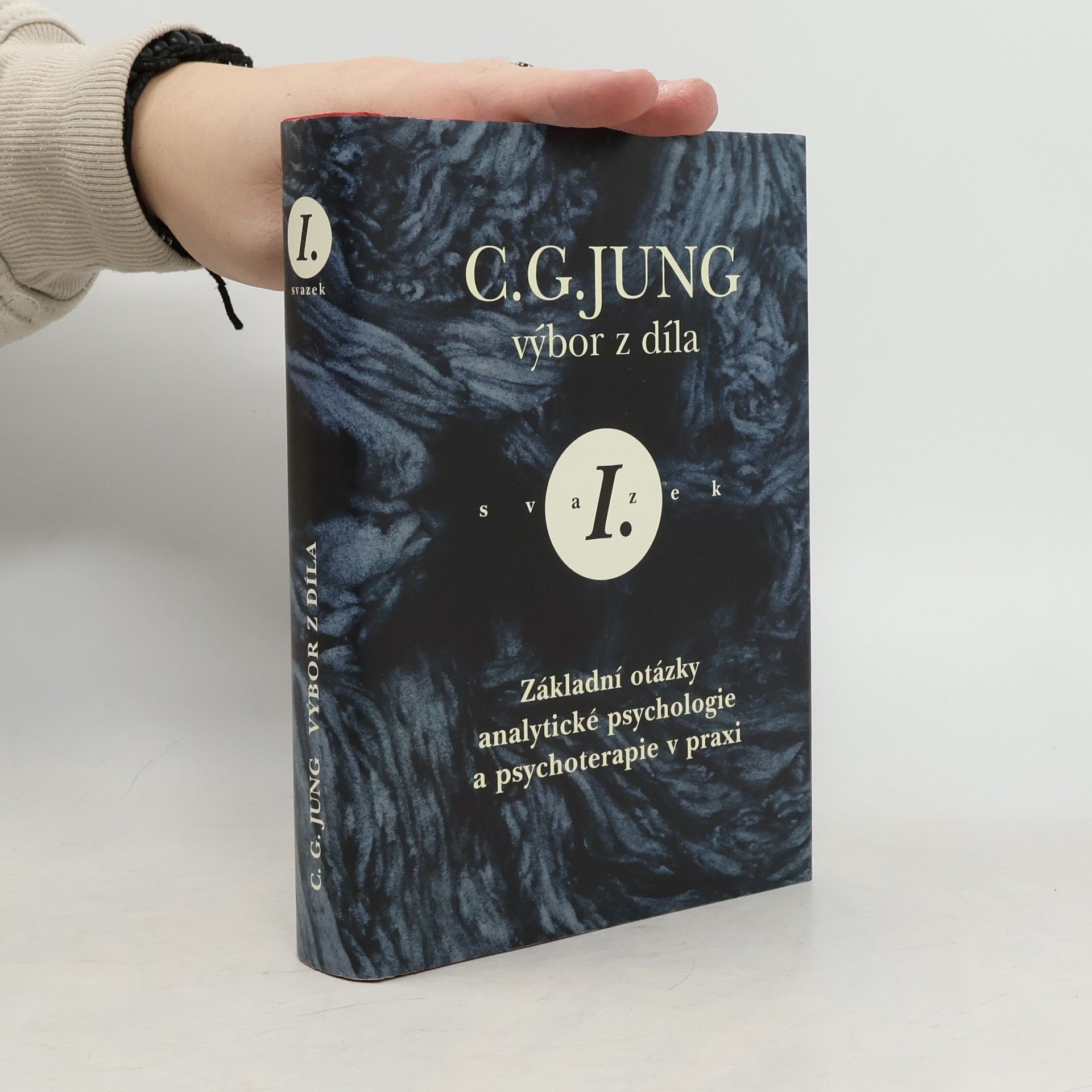 Carl Gustav Jung Výbor z díla I.