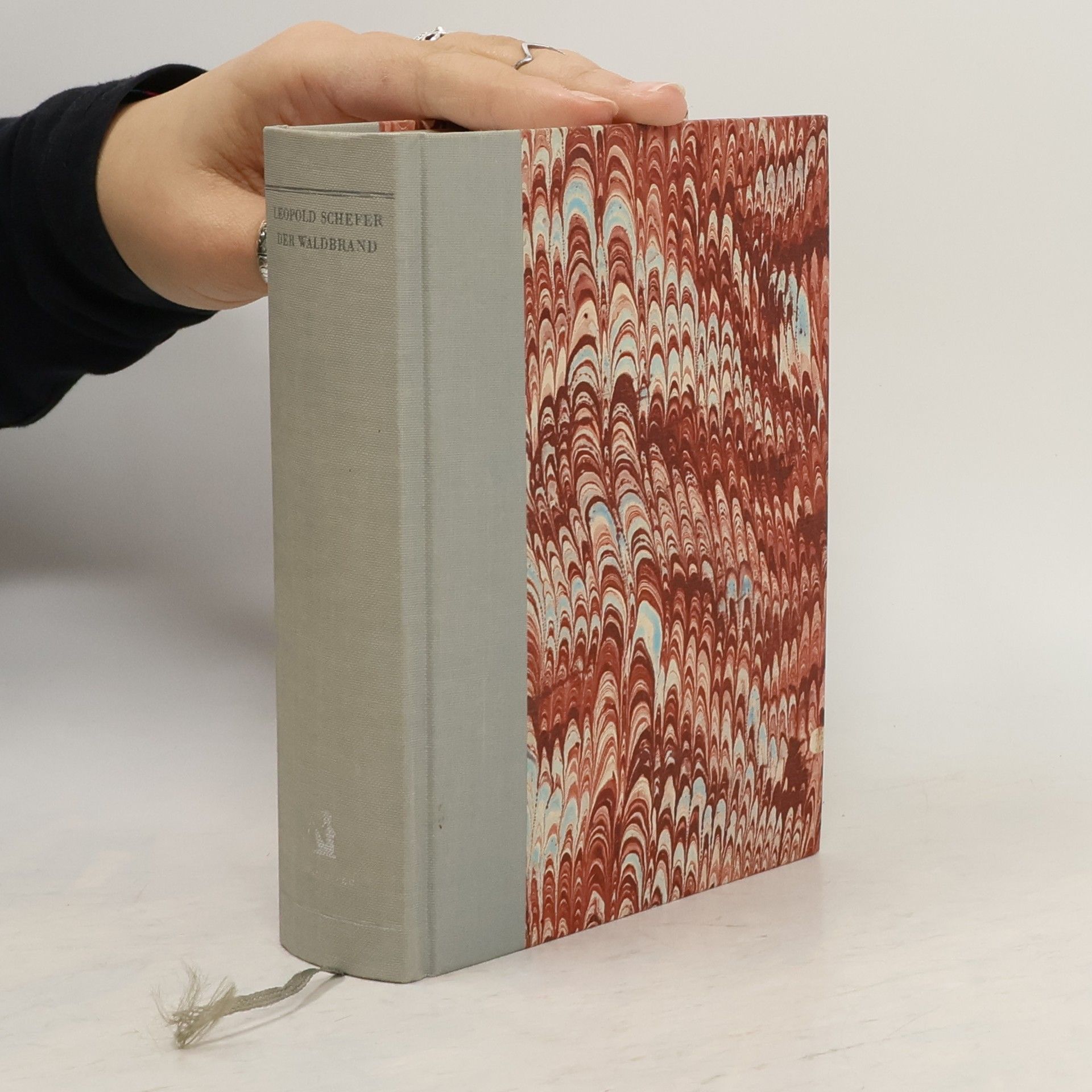 Leopold Schefer Der Waldbrand