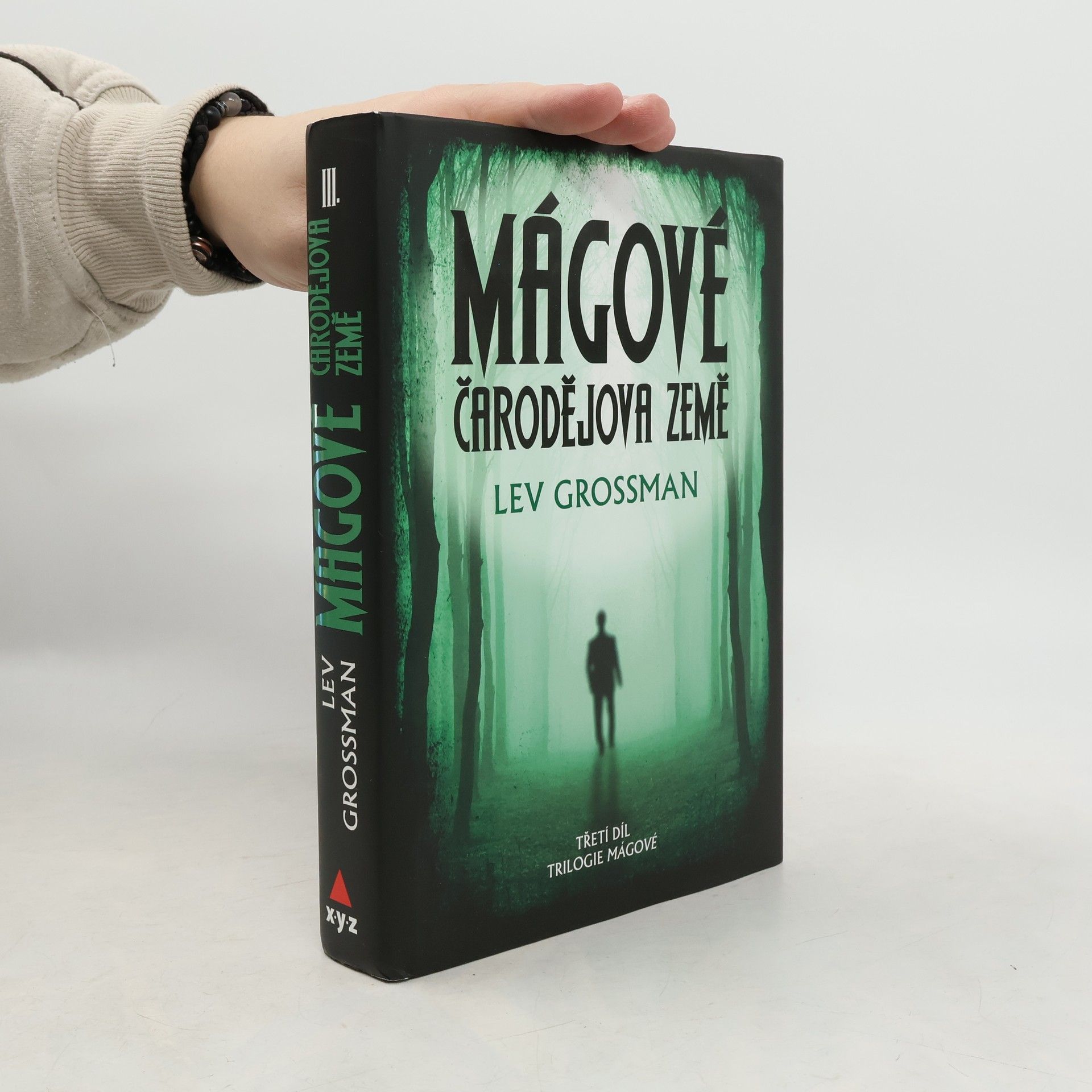 Lev Grossman Mágové: Čarodějova země