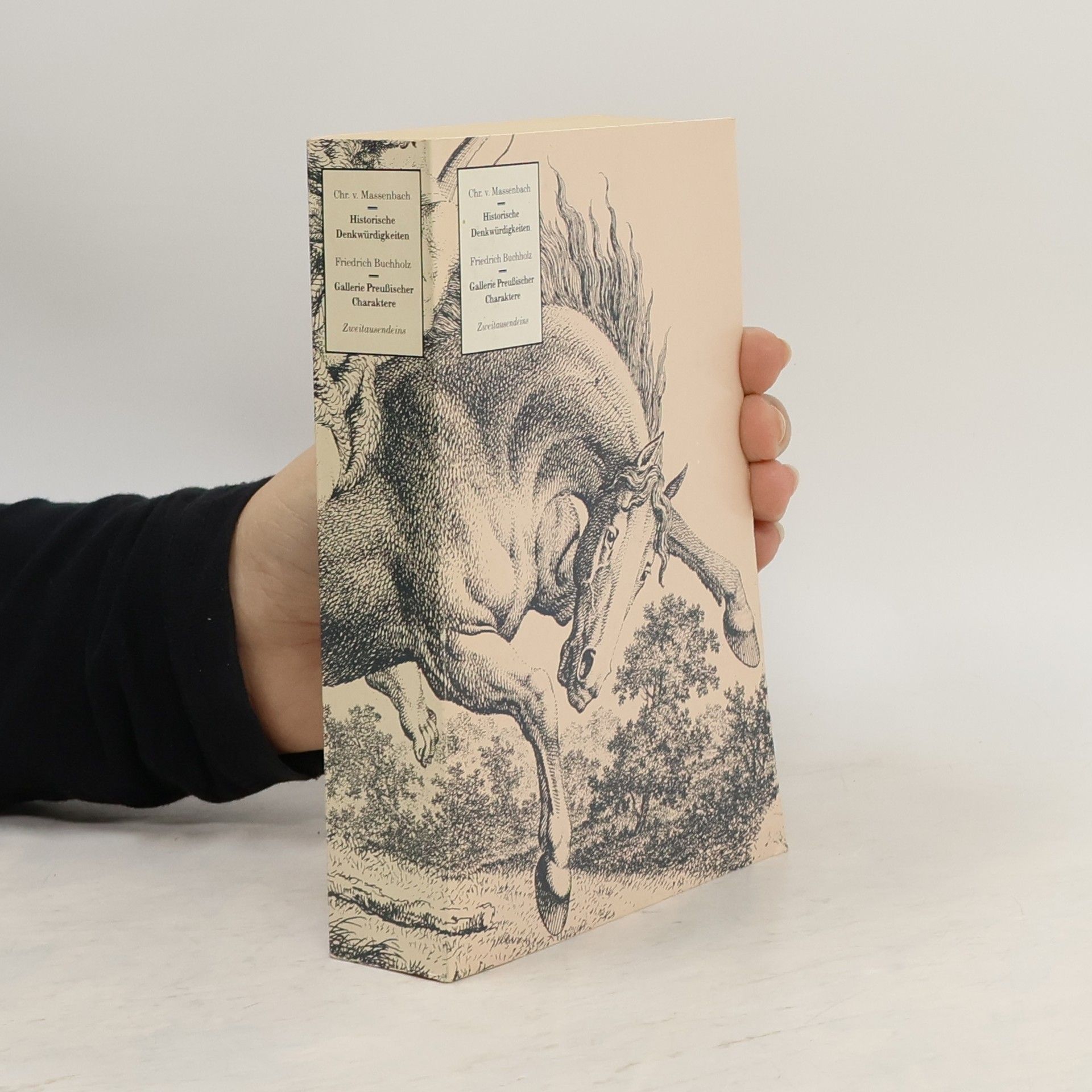 Christian Karl August Ludwig von Massenbach Historische Denkwürdigkeiten zur Geschichte des Verfalls des preußischen Staats seit dem Jahre 1794