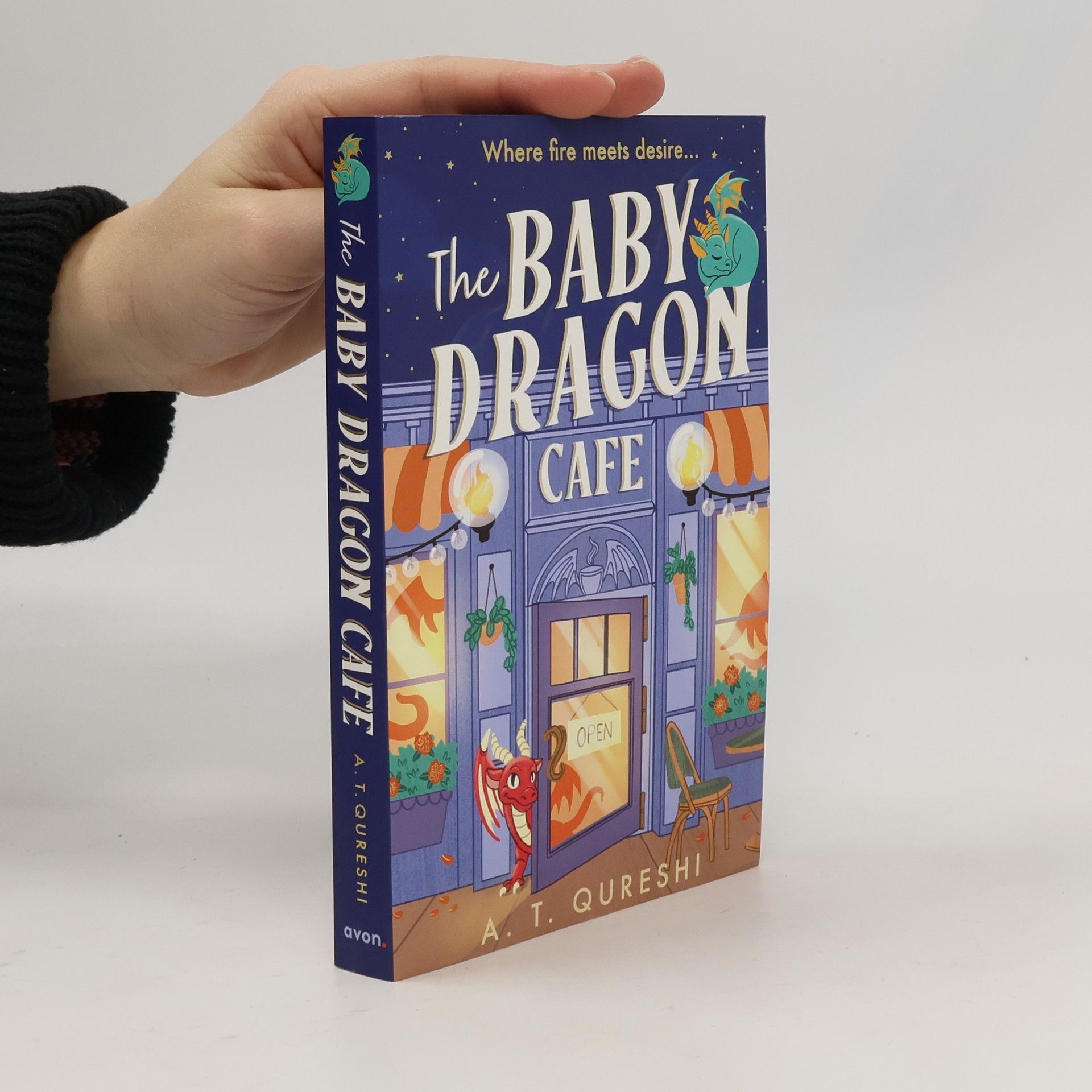 Aamna Qureshi The Baby Dragon Cafe