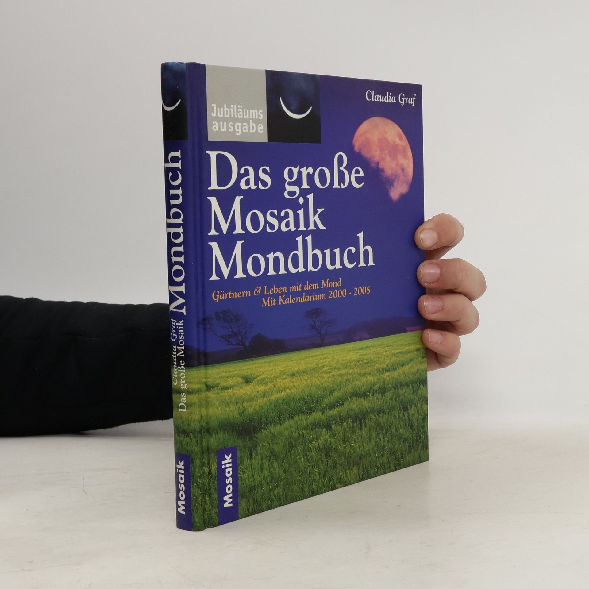 Das große Mosaik-Mondbuch