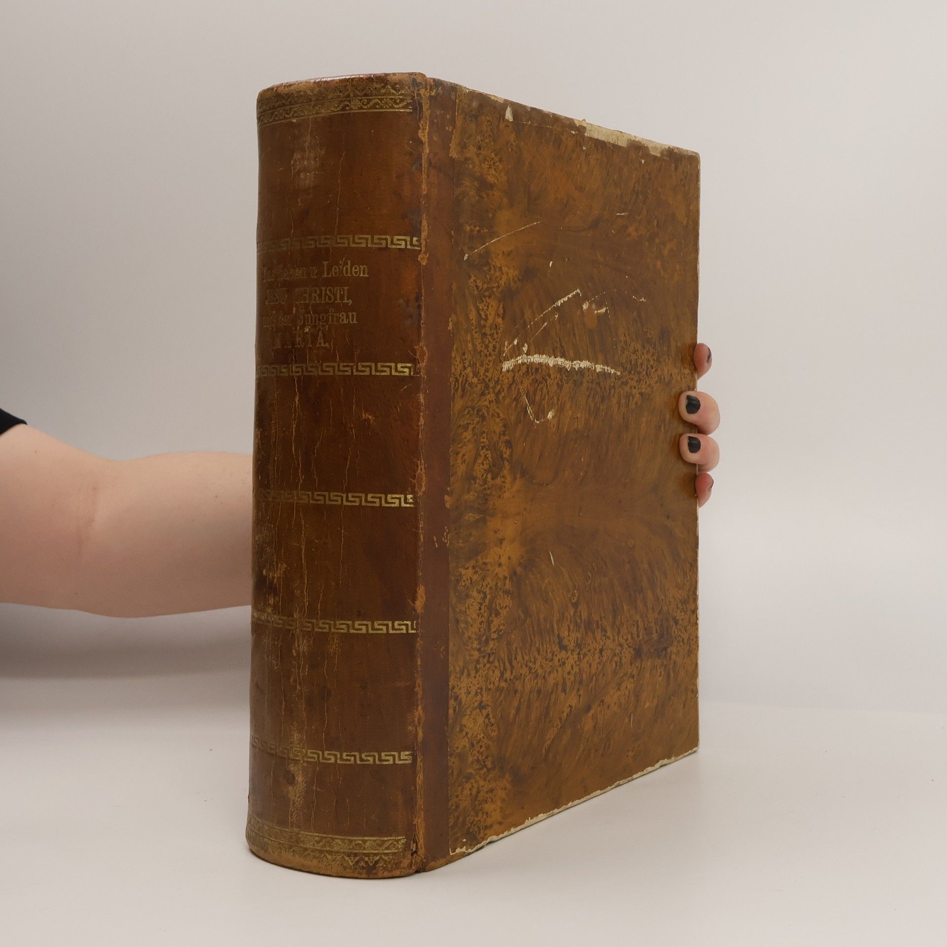 Autorenkollektiv Leben und Leiden Jesu Christi und der Jungfrau Maria