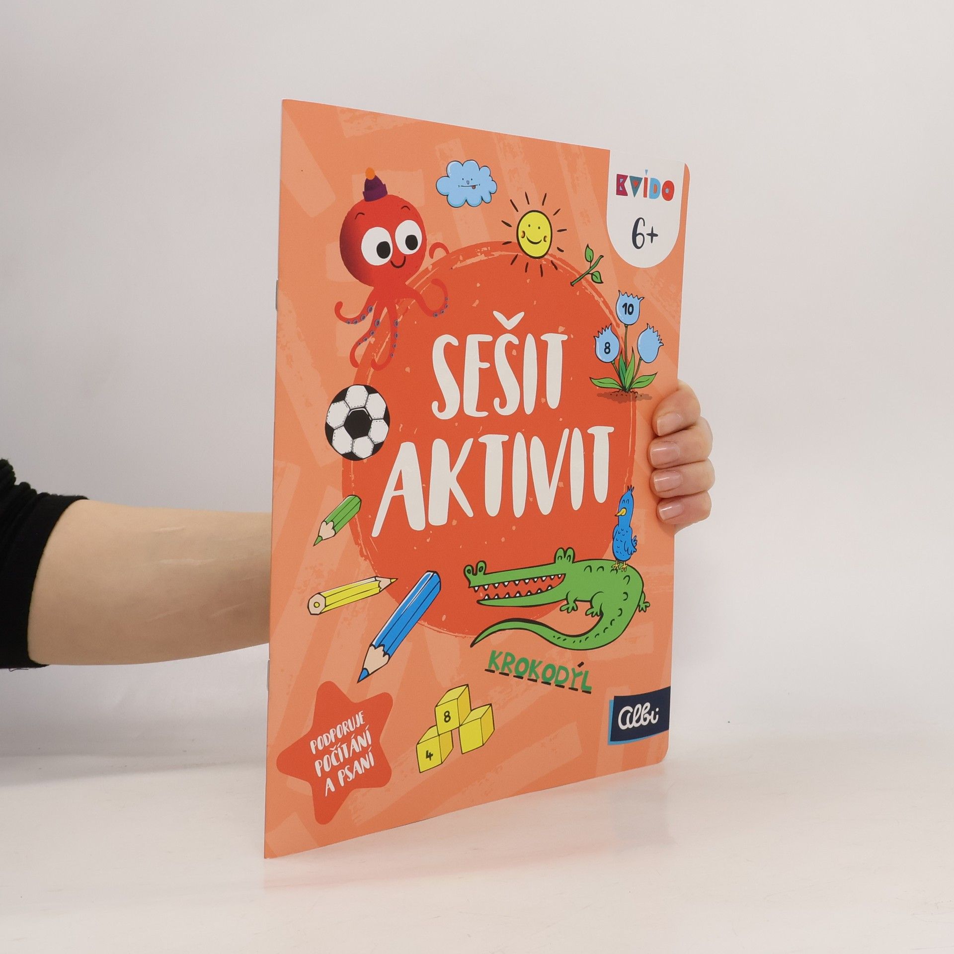 Collectif d'auteurs Sešit aktivit 6+