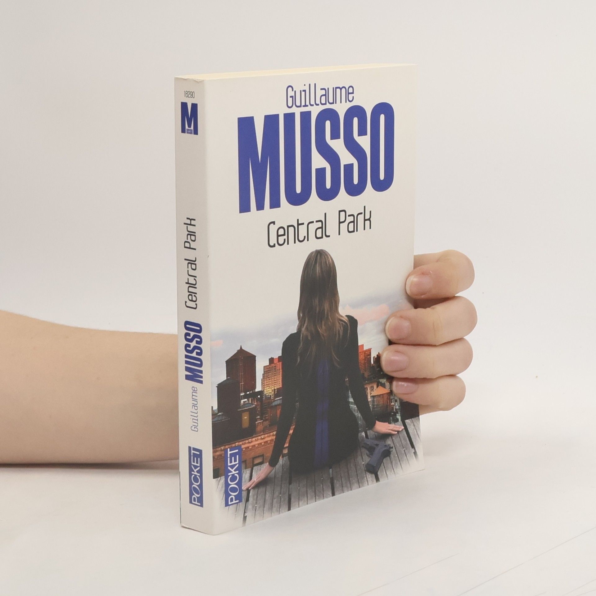 Guillaume Musso Central Park