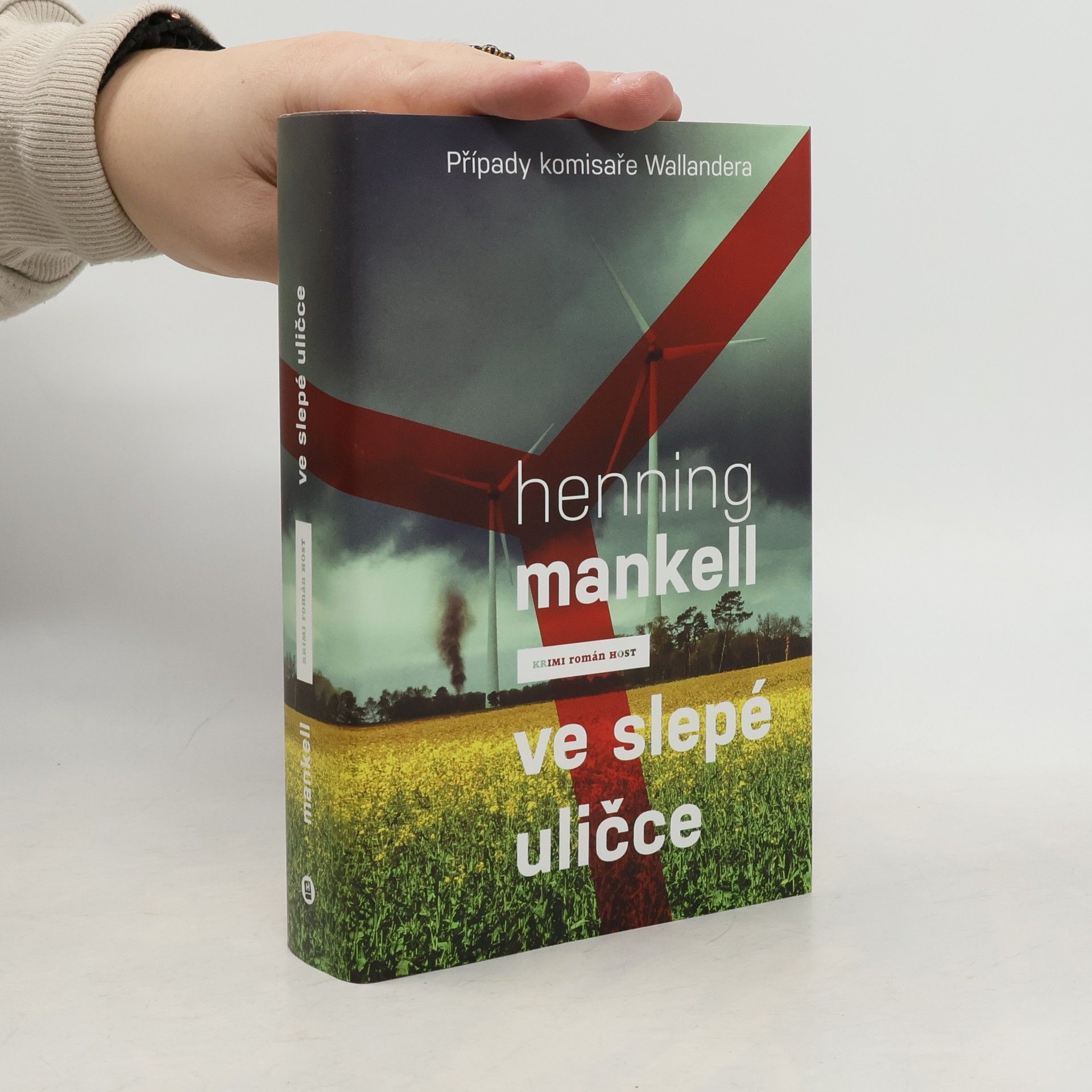 Henning Mankell Ve slepé uličce