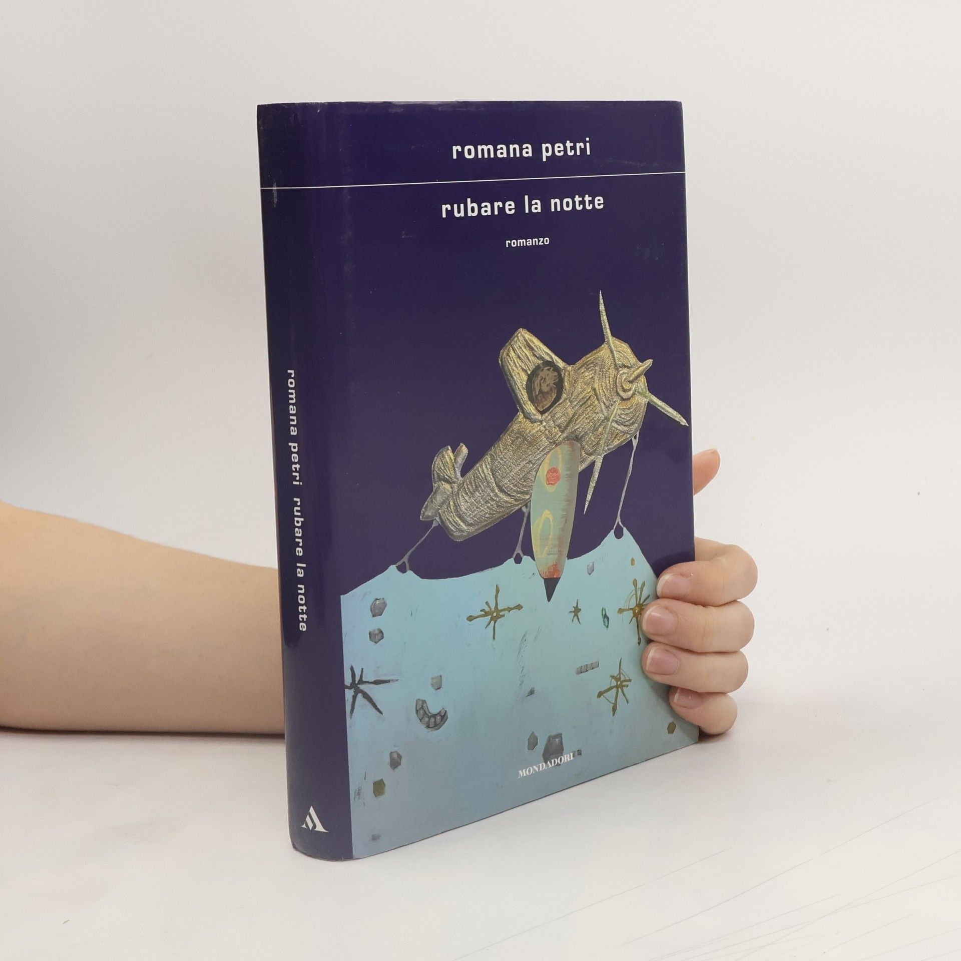 Romana Petri Rubare la notte