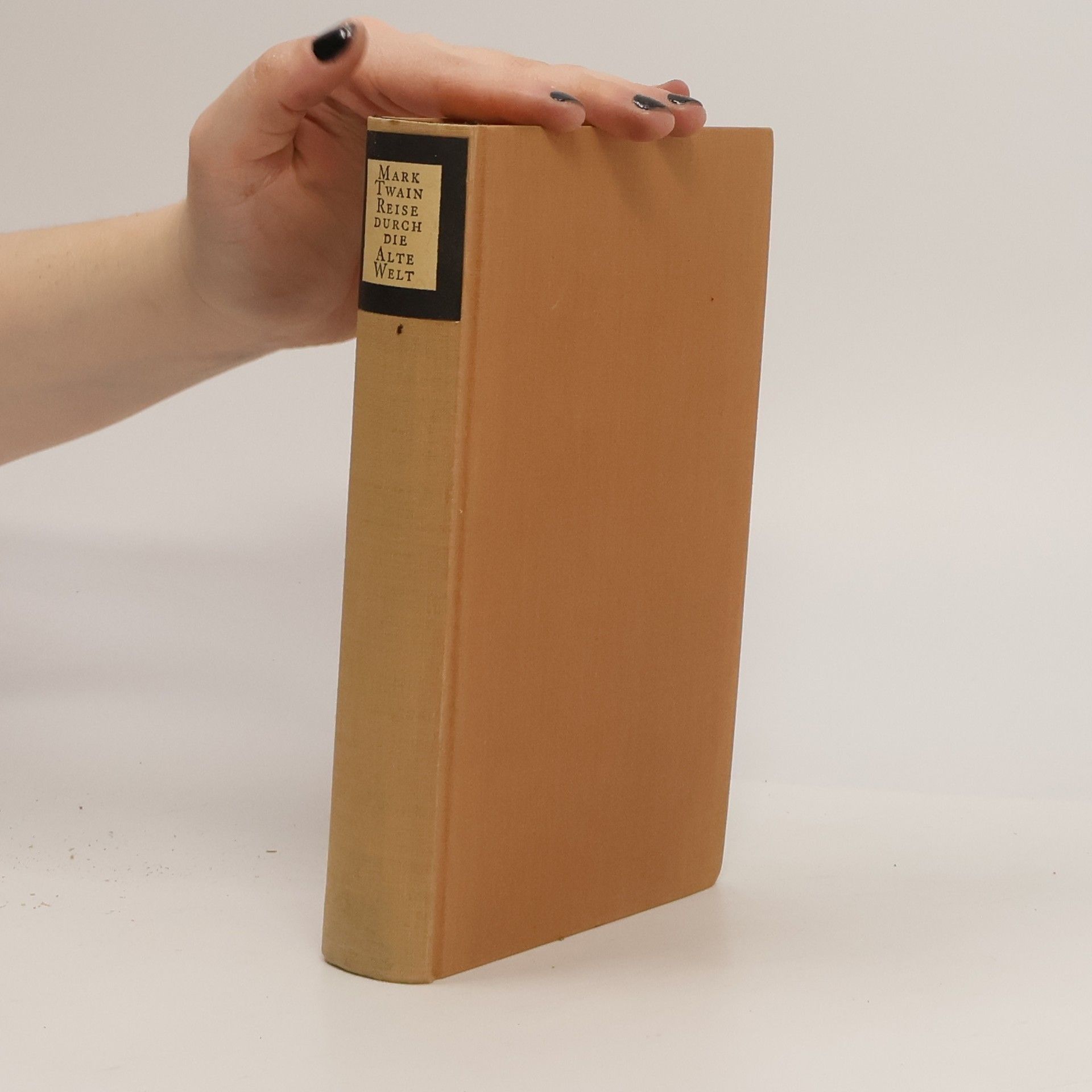 Mark Twain Reise durch die alte Welt