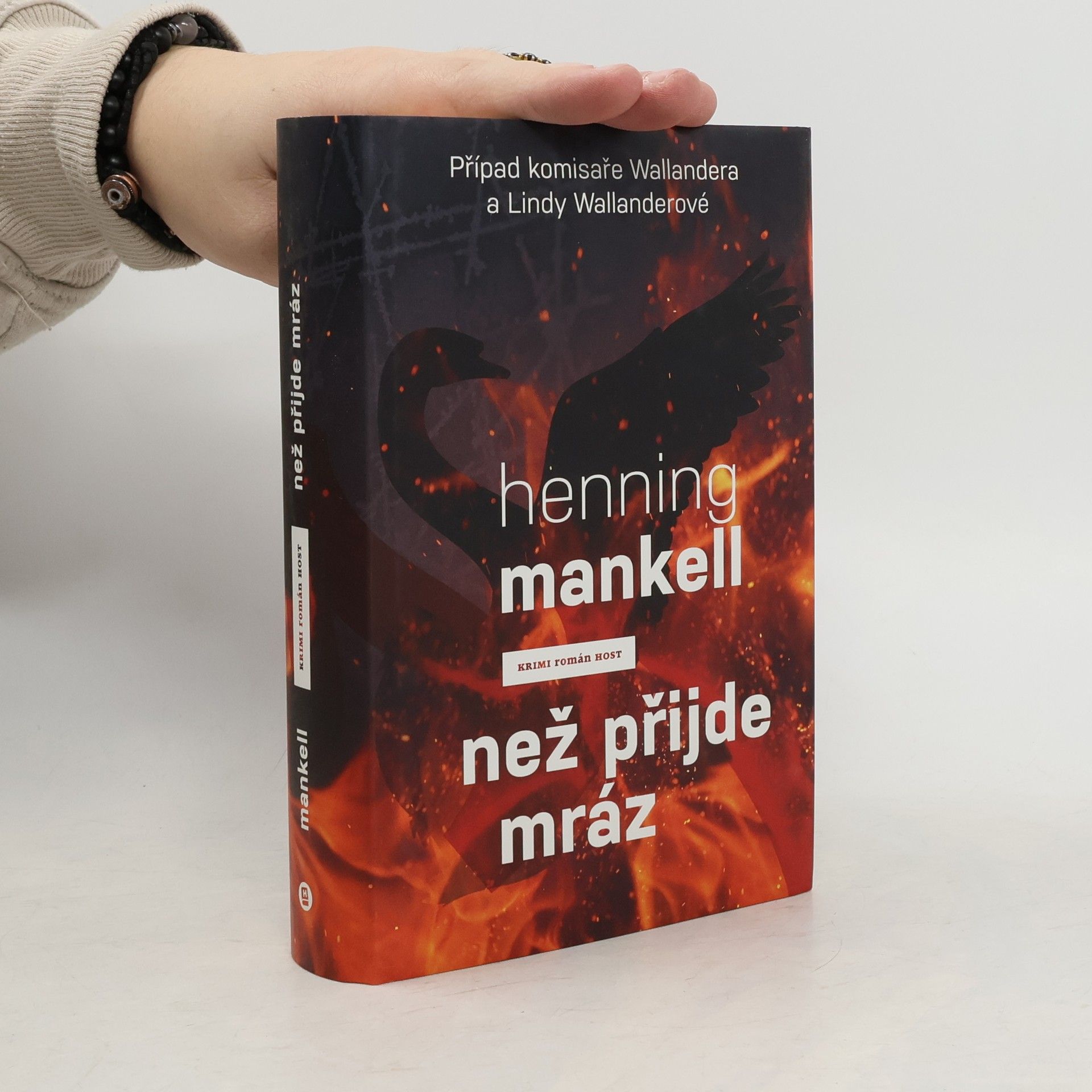 Henning Mankell Než přijde mráz