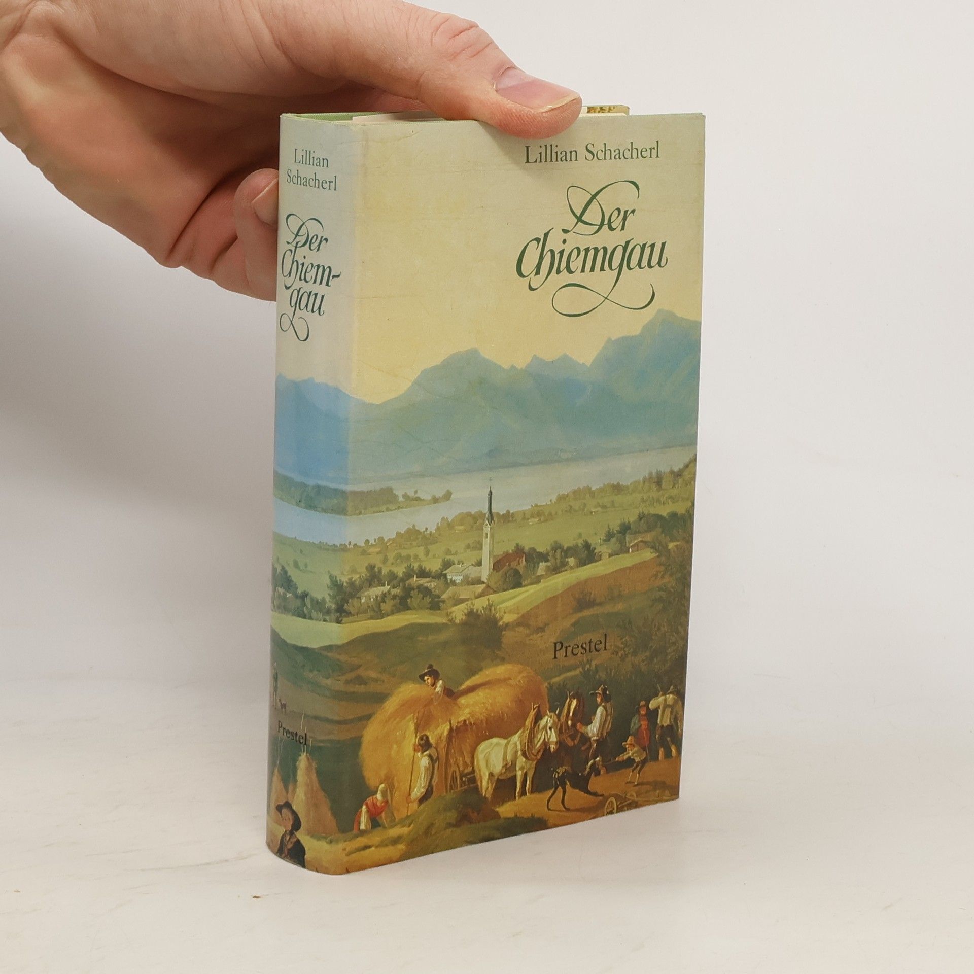 Lilian Schacherl Der Chiemgau