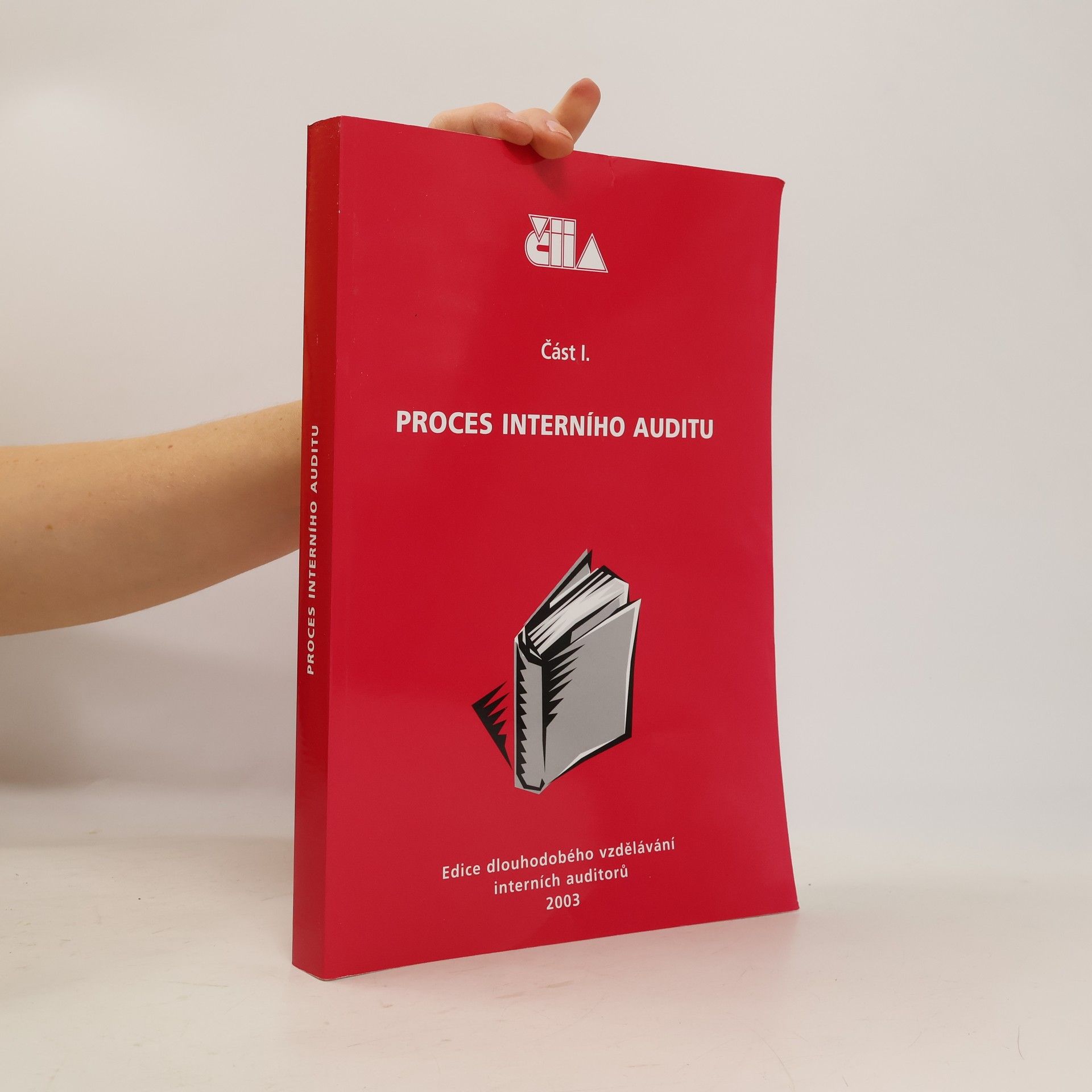 Proces interního auditu