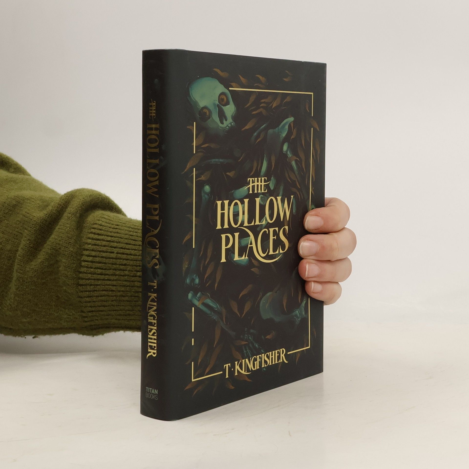 T. Kingfisher The Hollow Places