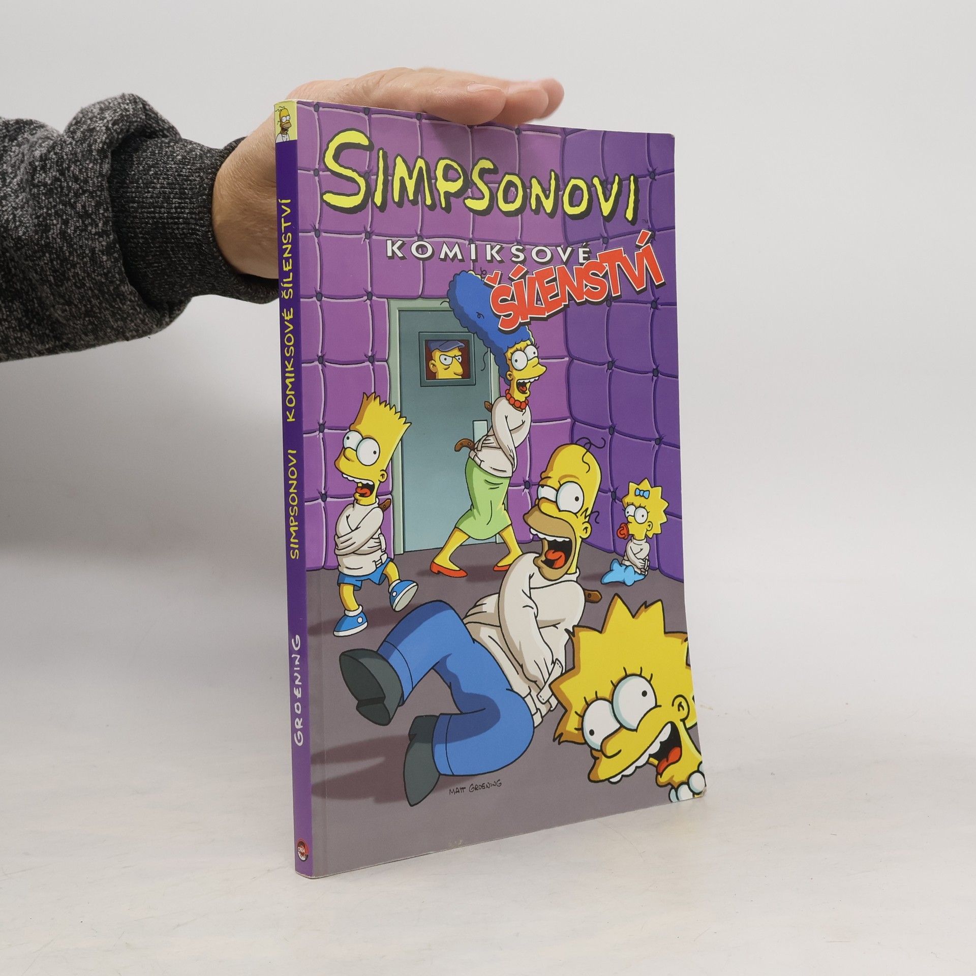 Matt Groening Simpsonovi, Komiksové šílenství