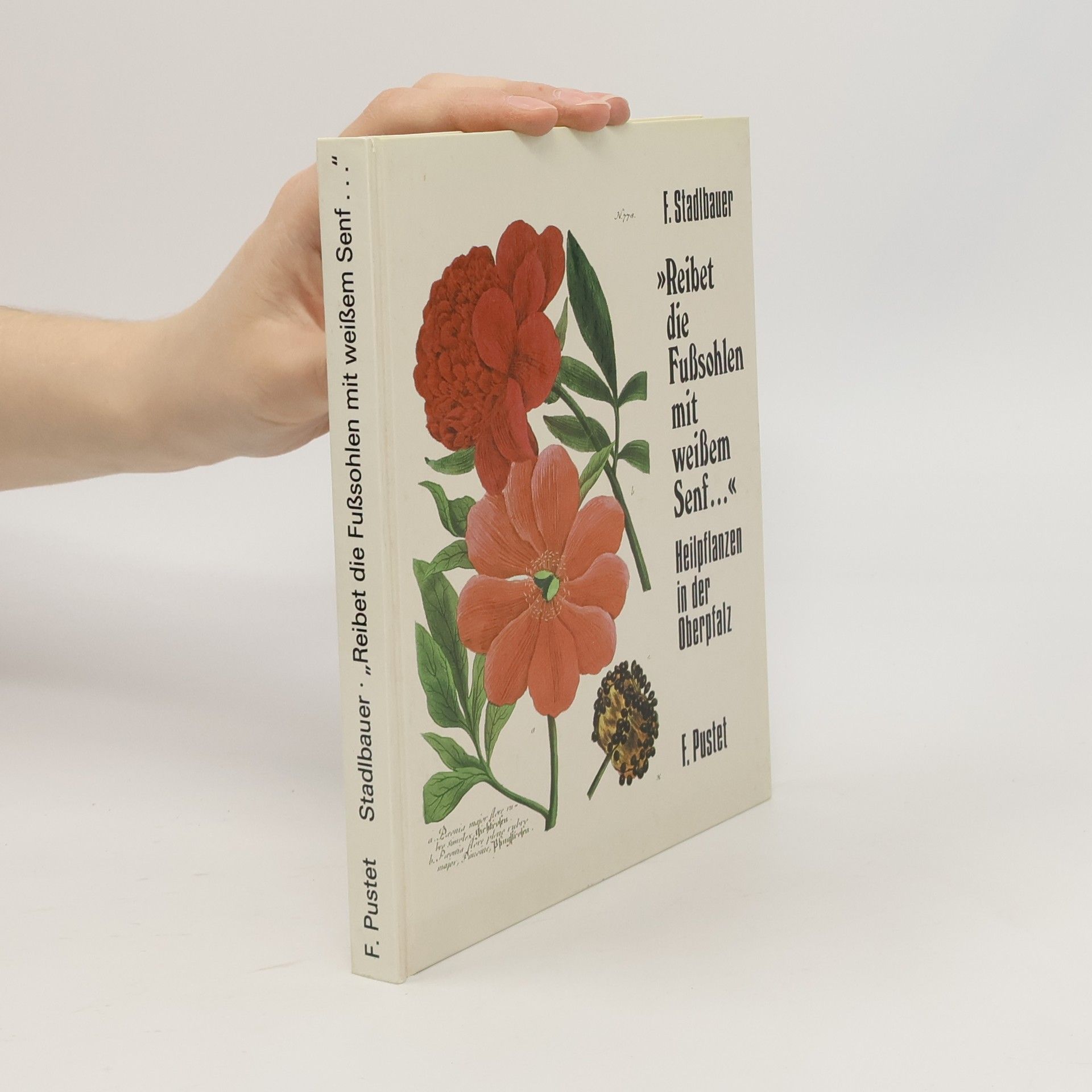 Ferdinand Stadlbauer Reibet die Fusssohlen mit weissem Senf