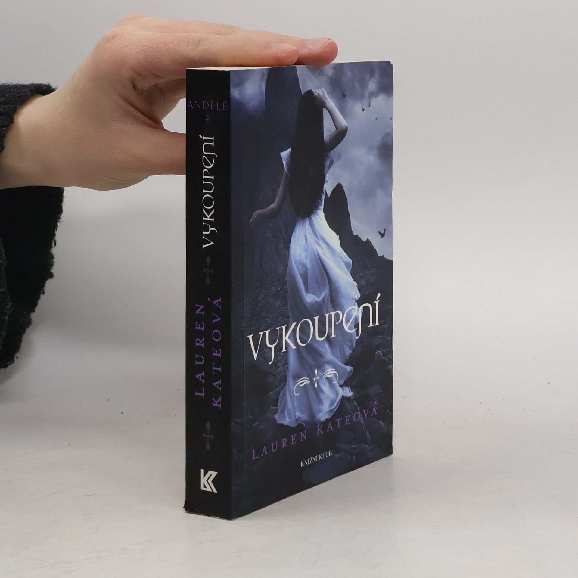 Andělé 1.-4. díl, 4 svazky v boxu: Pád, Muka, Vytržení, Vykoupení.