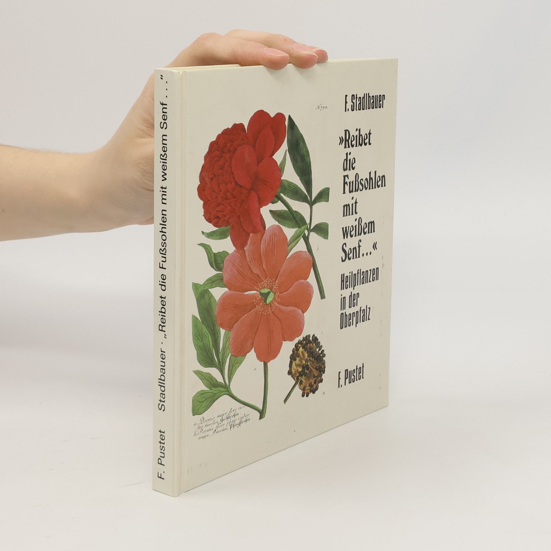 Ferdinand Stadlbauer Reibet die Fusssohlen mit weissem Senf