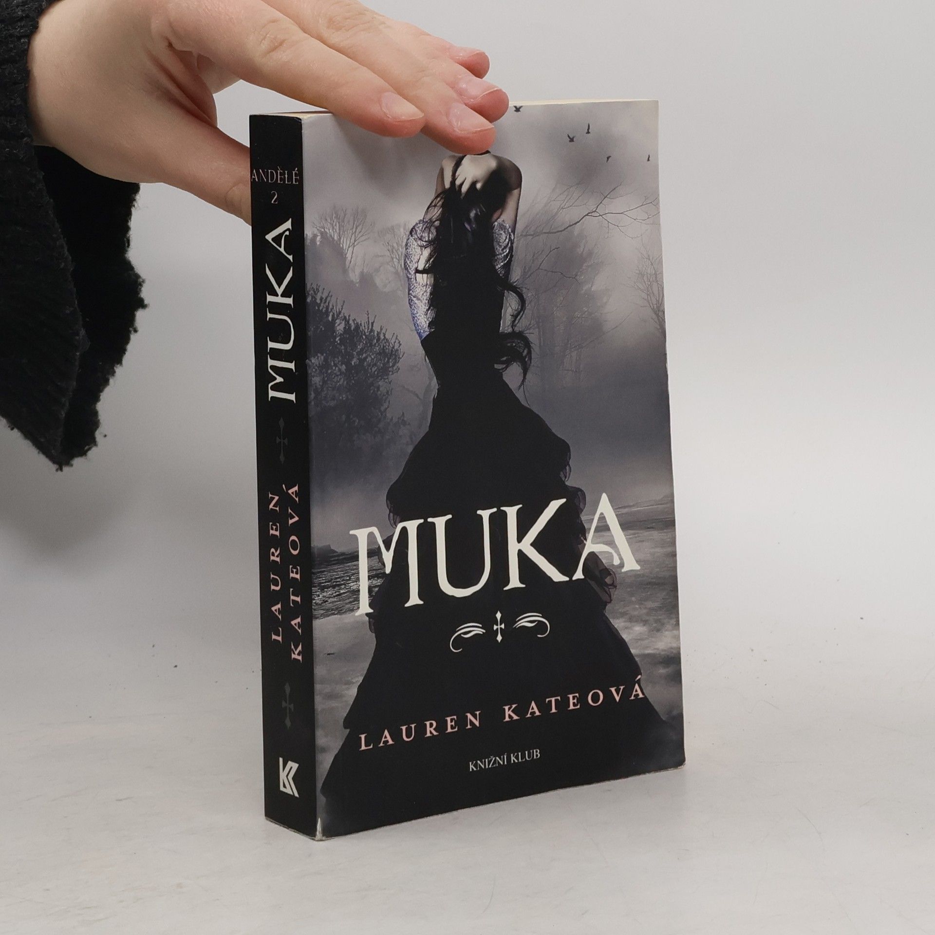 Lauren Kate Andělé 1.-4. díl, 4 svazky v boxu: Pád, Muka, Vytržení, Vykoupení.