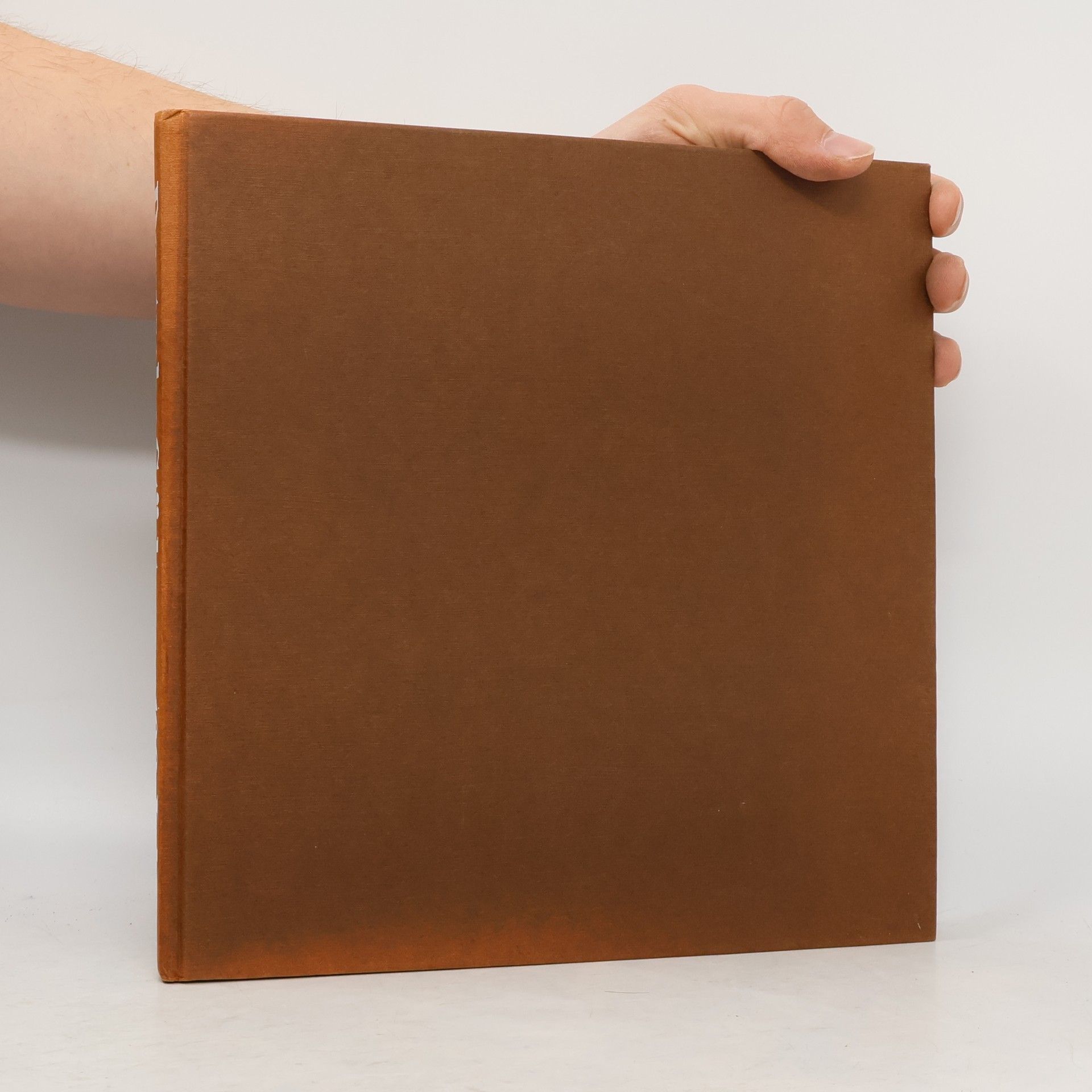 Autorenkollektiv Deutsche Städte vor 100 Jahren