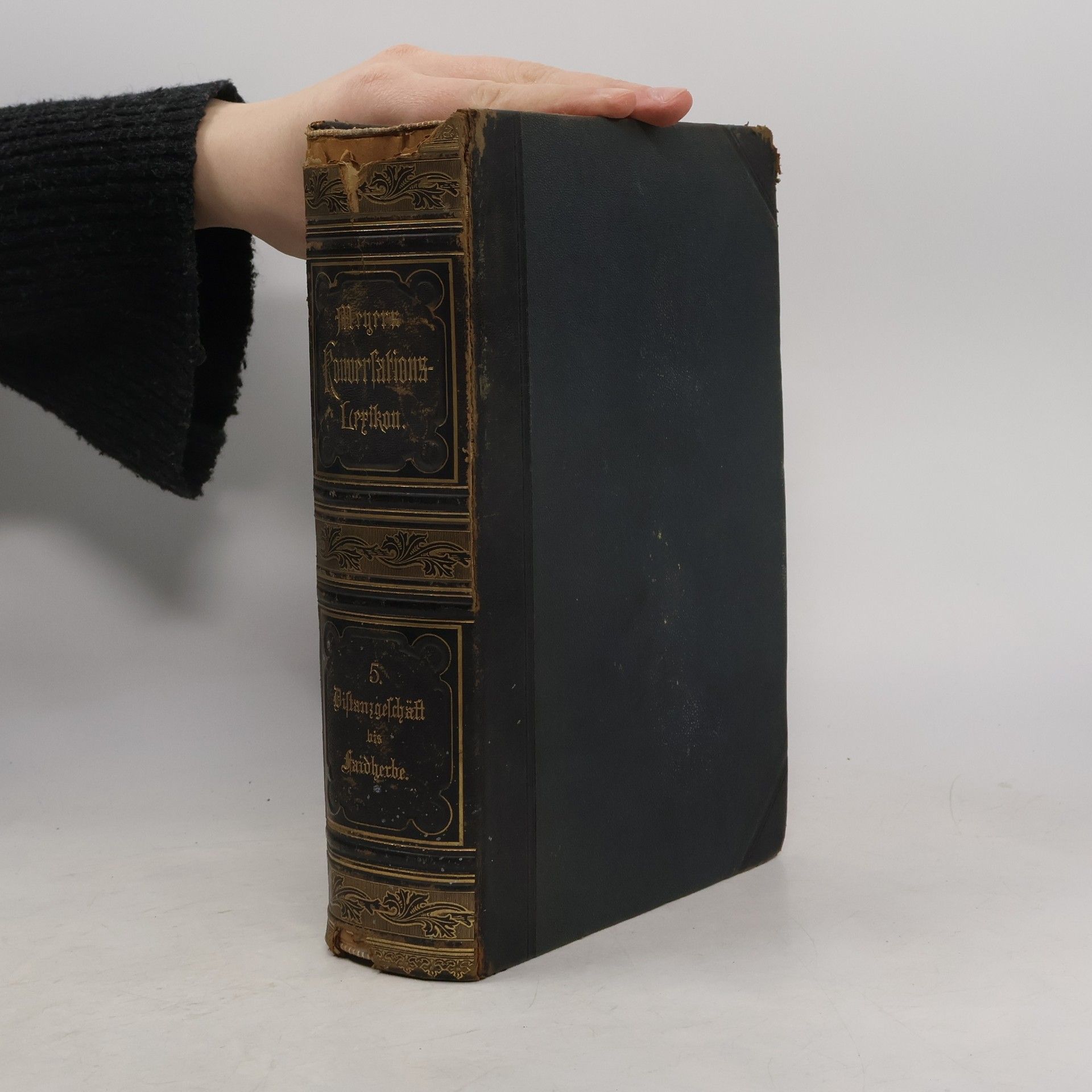 Autorenkollektiv Meyers Konversations-Lexikon 5