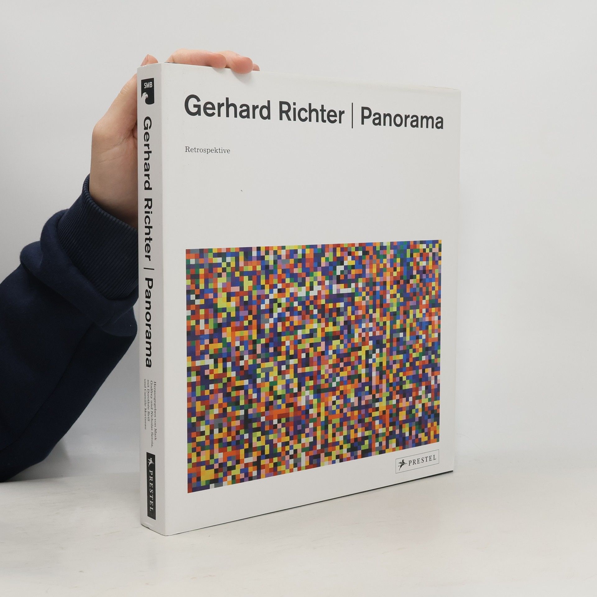 Achim Borchardt-Hume Gerhard Richter, Panorama