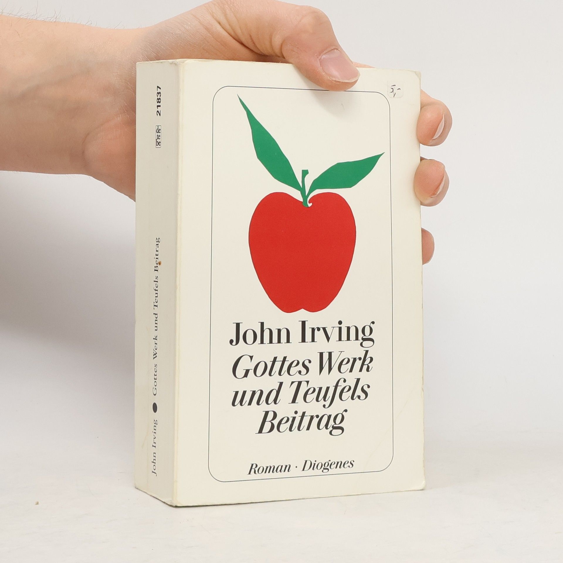 John Irving Gottes Werk und Teufels Beitrag