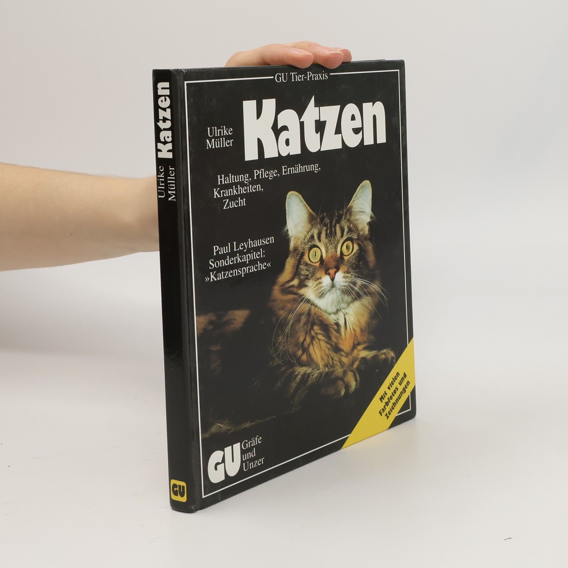 Ulrike Müller Katzen