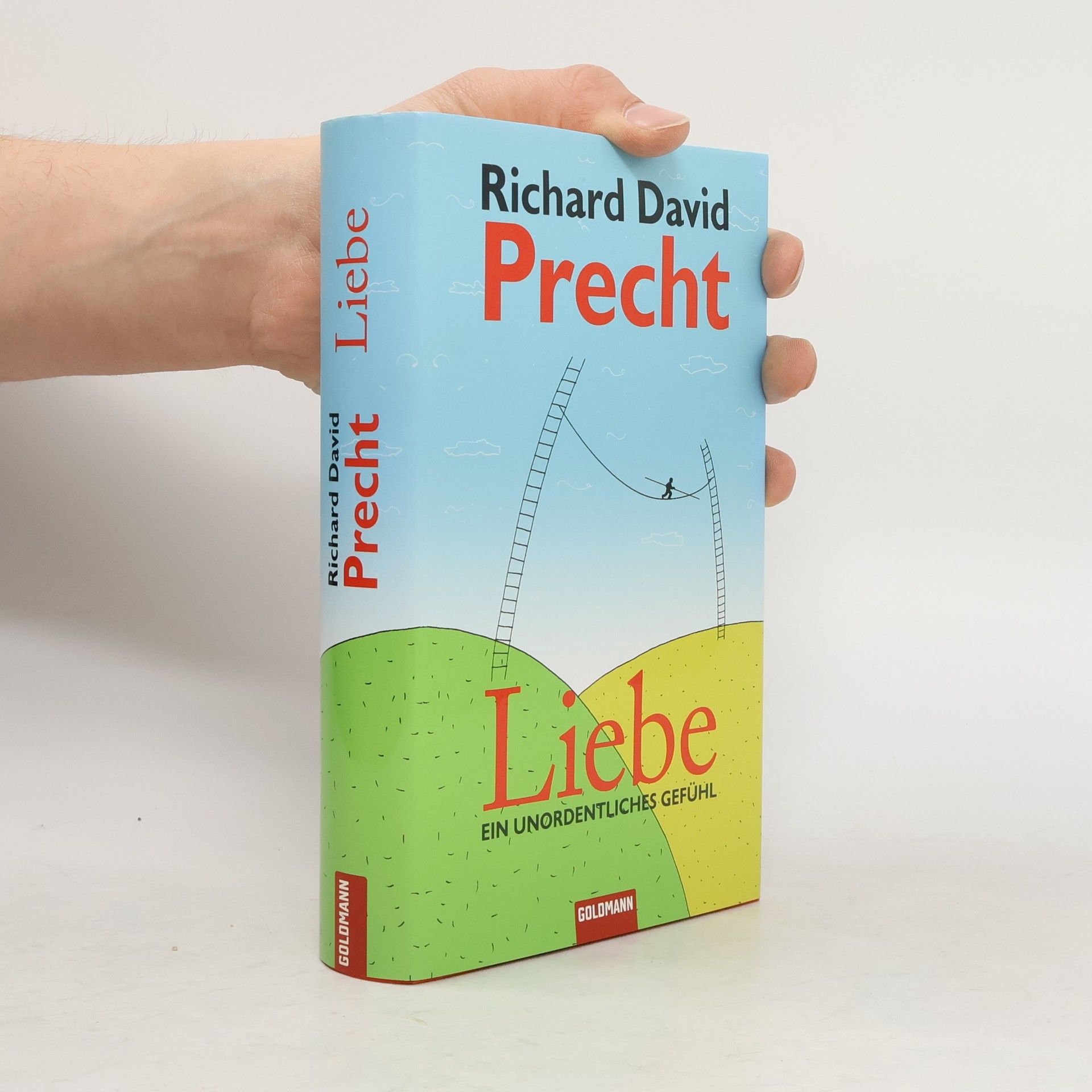 Richard David Precht Liebe ein Unordentliches Gefühl