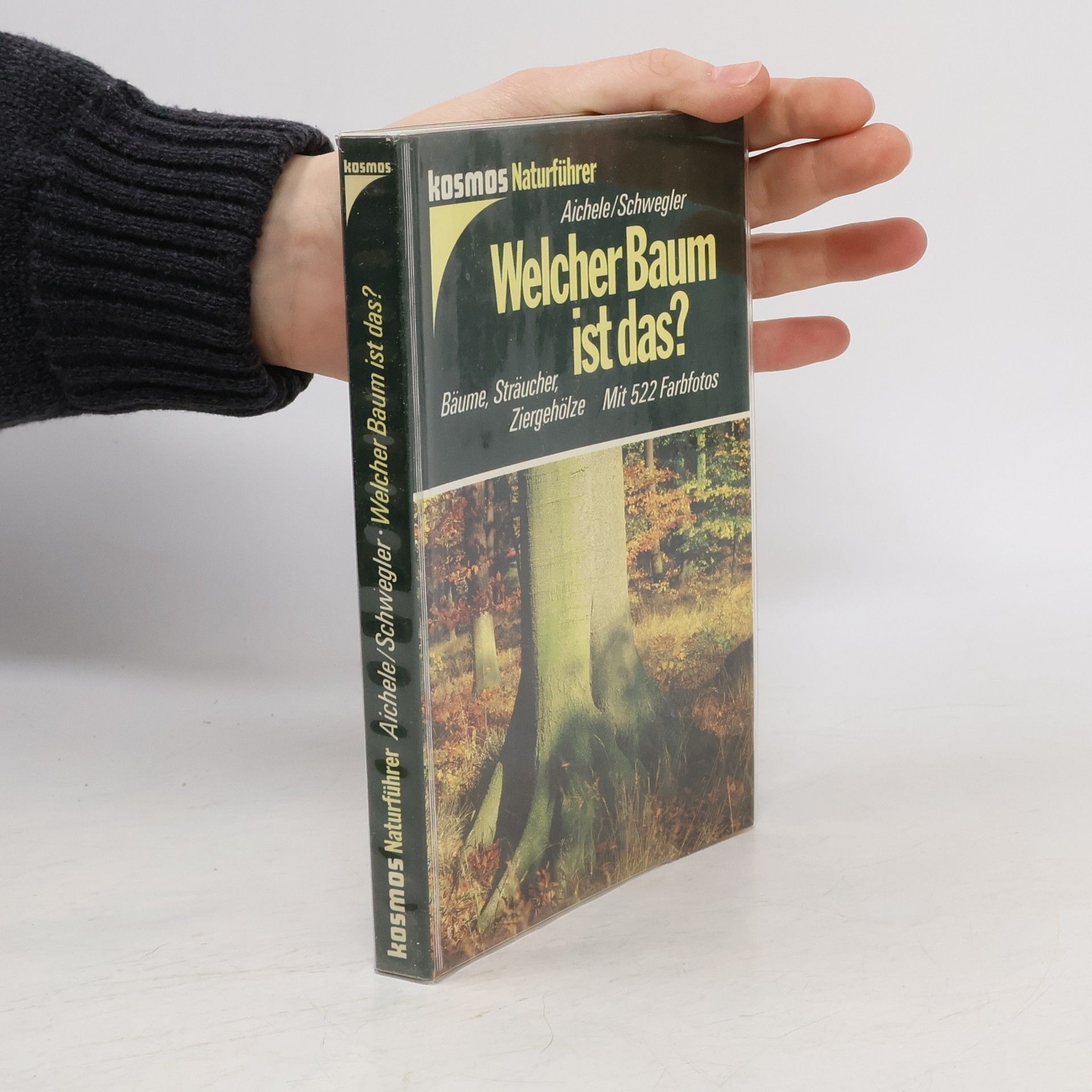 Dietmar Aichele Welcher Baum ist das?