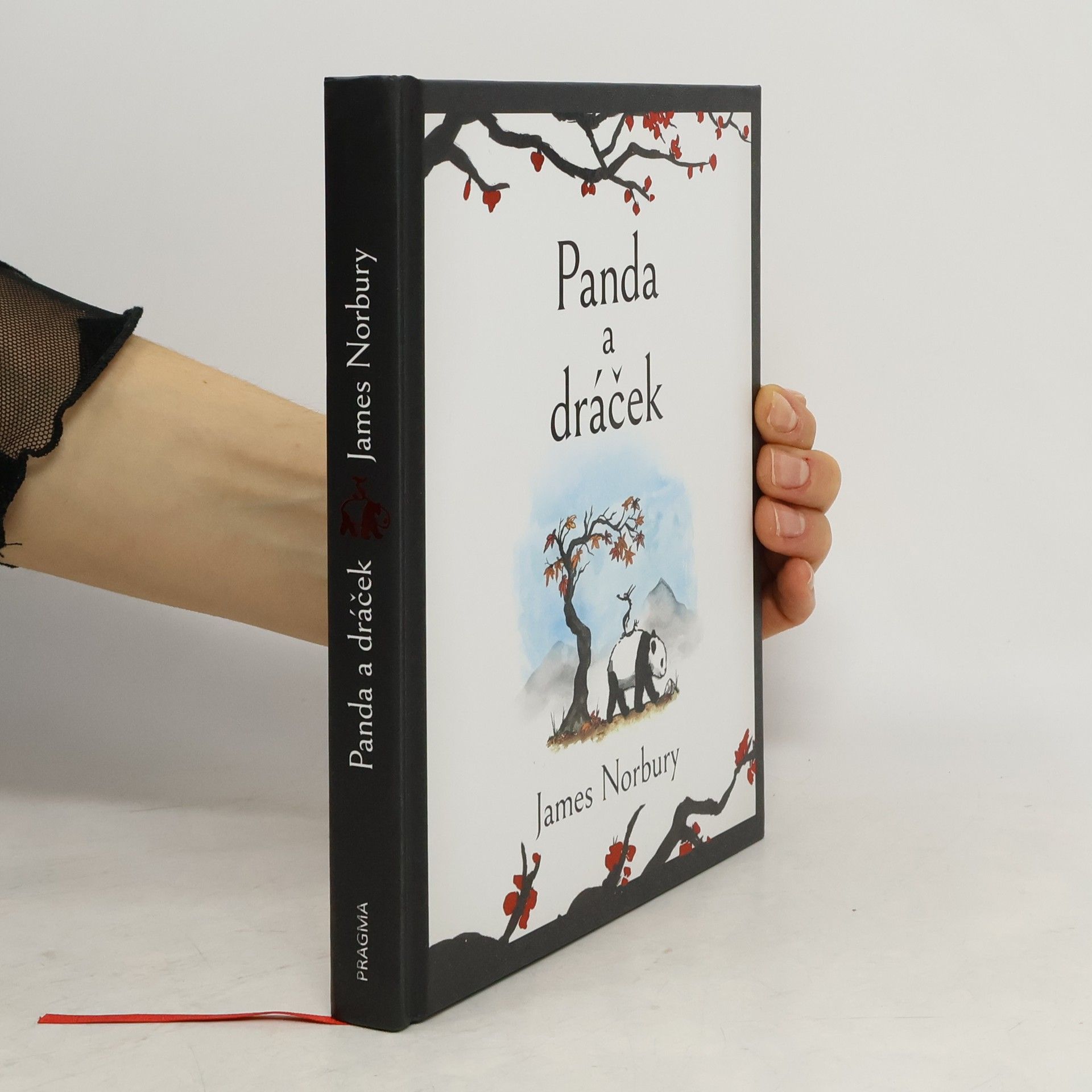 James Norbury Panda a dráček