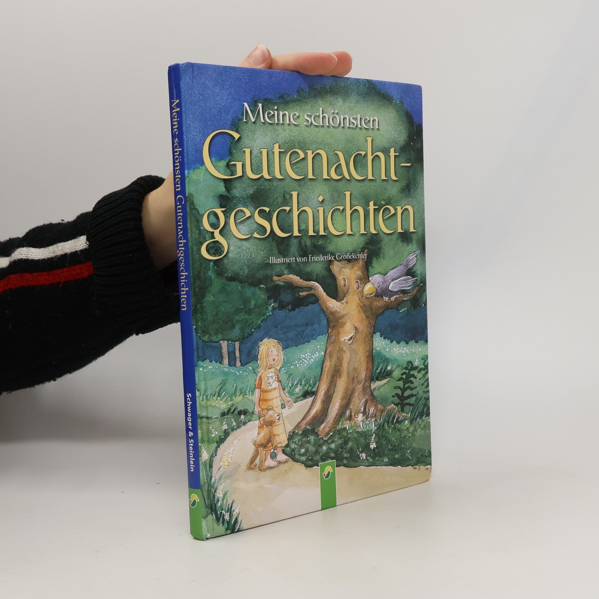 Autorenkollektiv Meine schönsten Gutenachtgeschichten