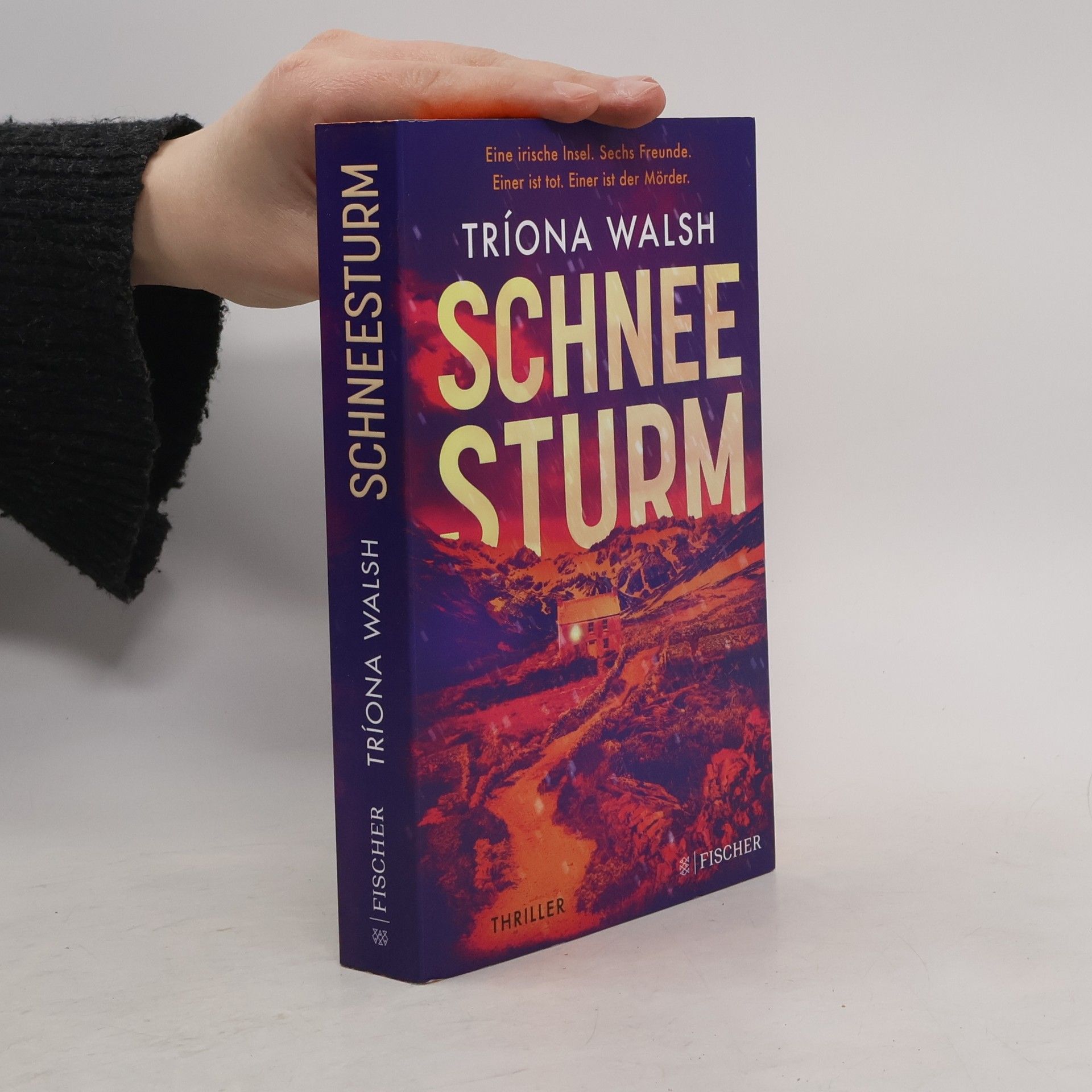 Tríona Walsh Schneesturm