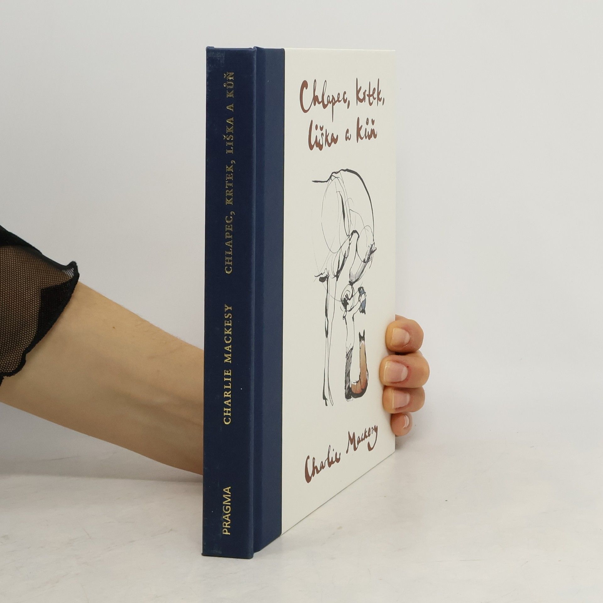 Charlie Mackesy Chlapec, krtek, liška a kůň