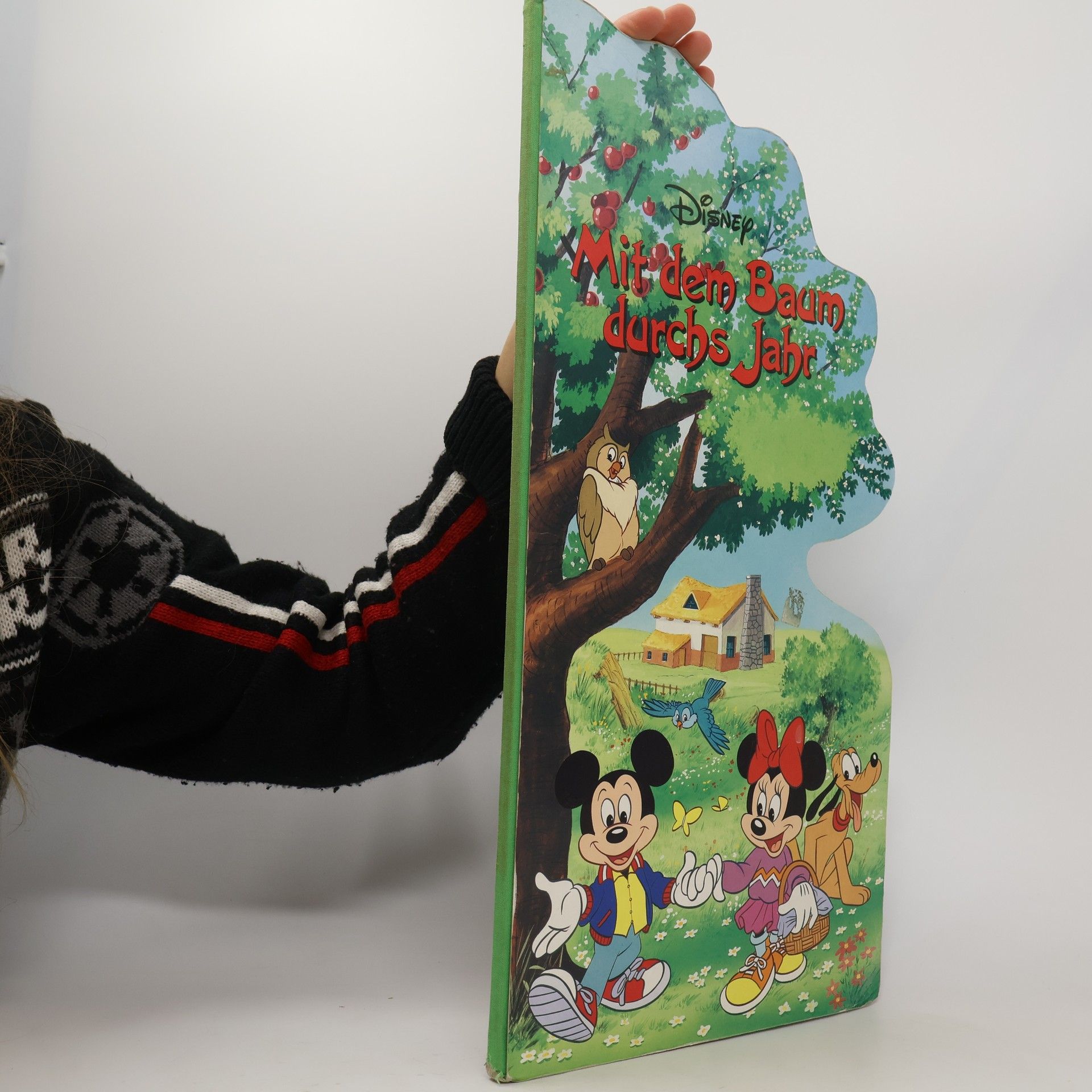 Autorenkollektiv Mit dem Baum durchs Jahr