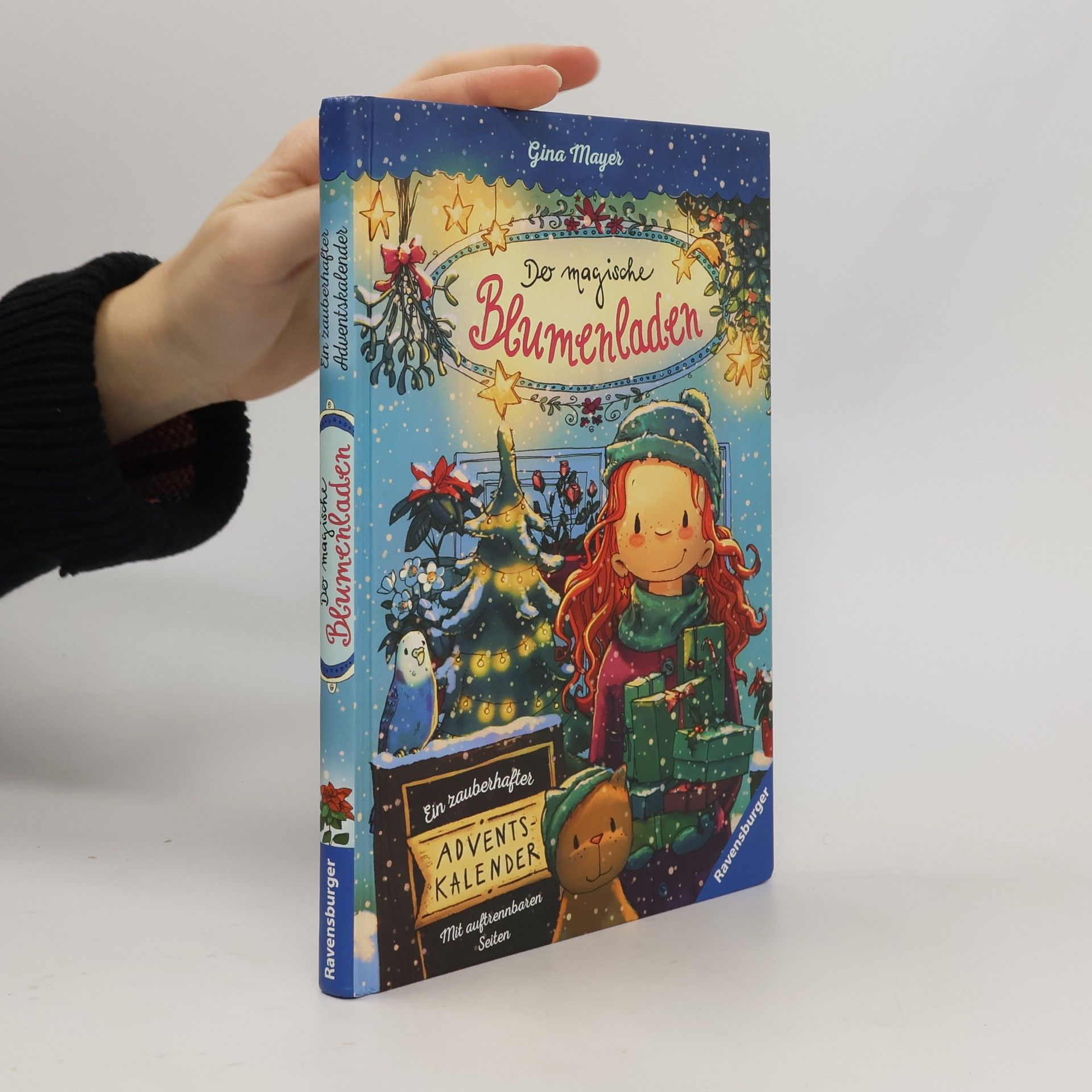 Gina Mayer Der magische Blumenladen - ein zauberhafter Adventskalender