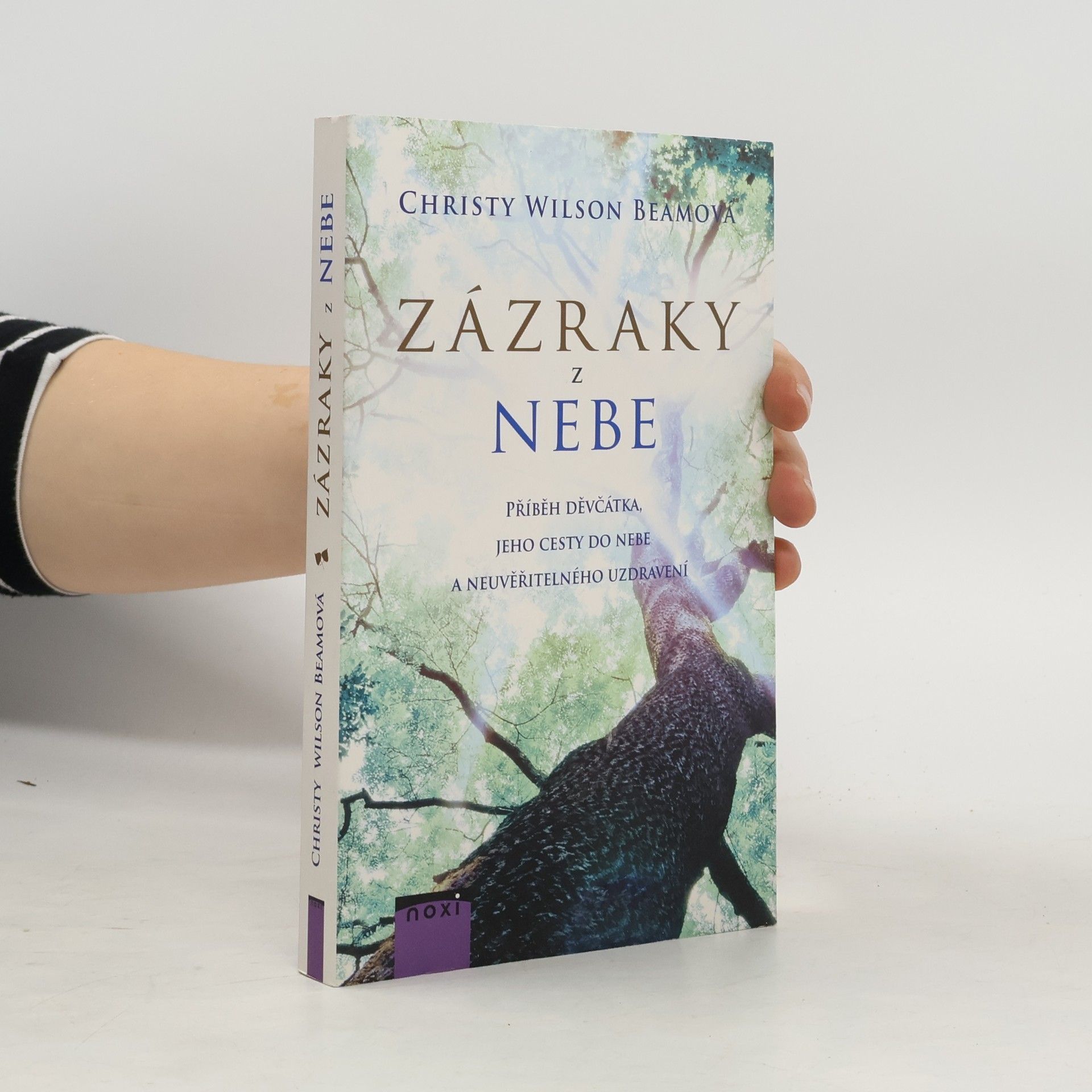 Christy Wilson Beam Zázraky z nebe