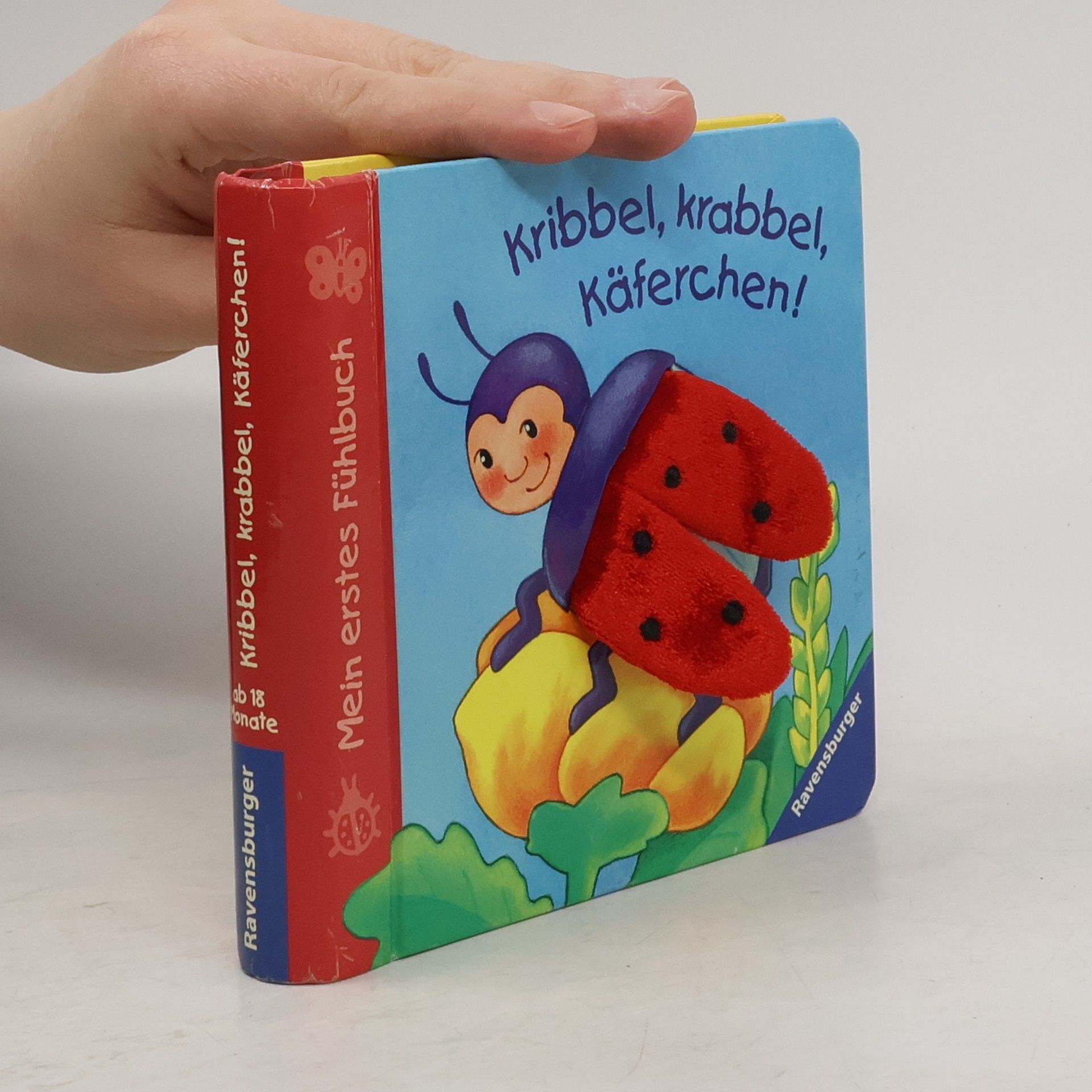 Kribbel, krabbel, Käferchen!