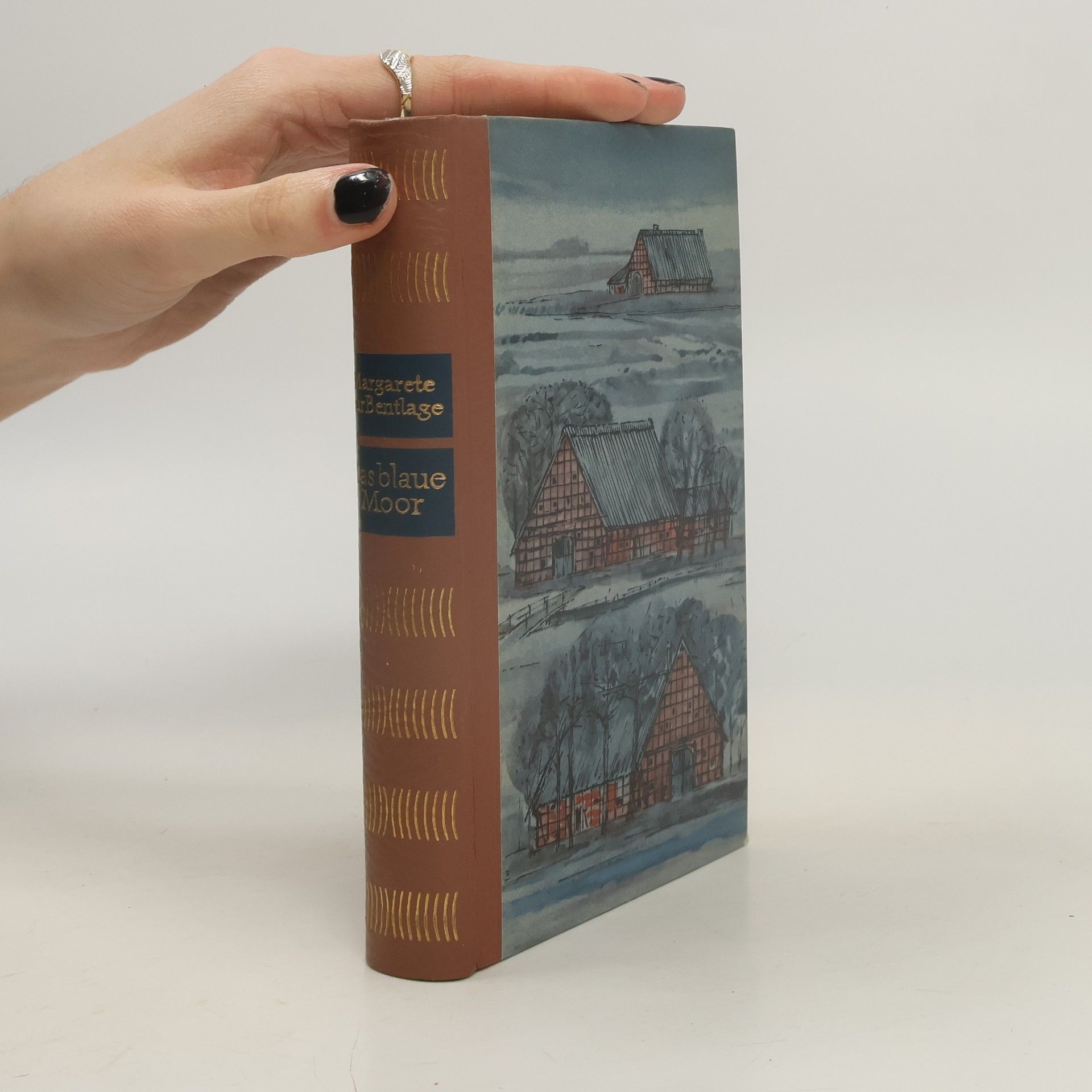 Margarete zur Bentlage Das blaue Moor