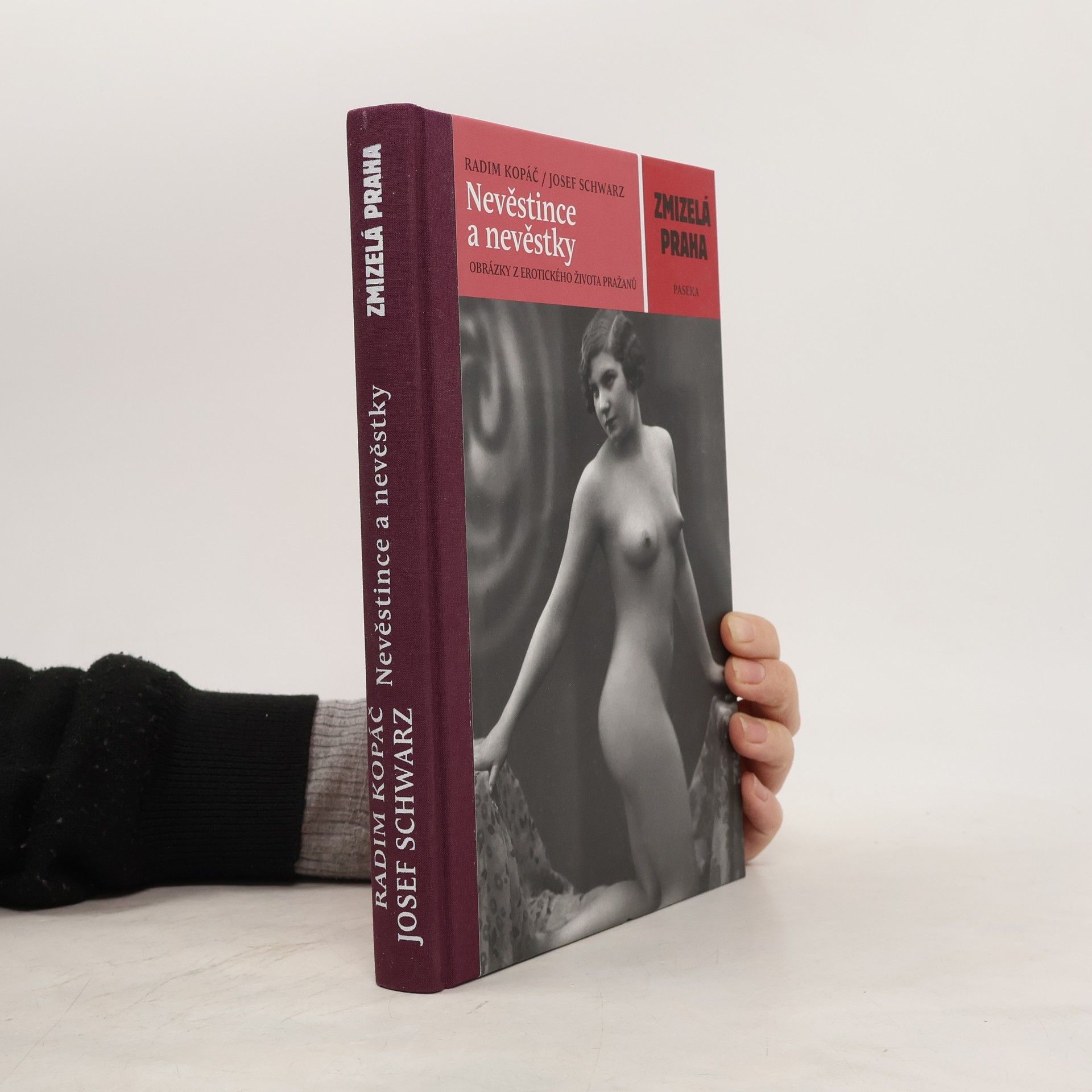 Nevěstince a nevěstky: Obrázky z erotického života Pražanů