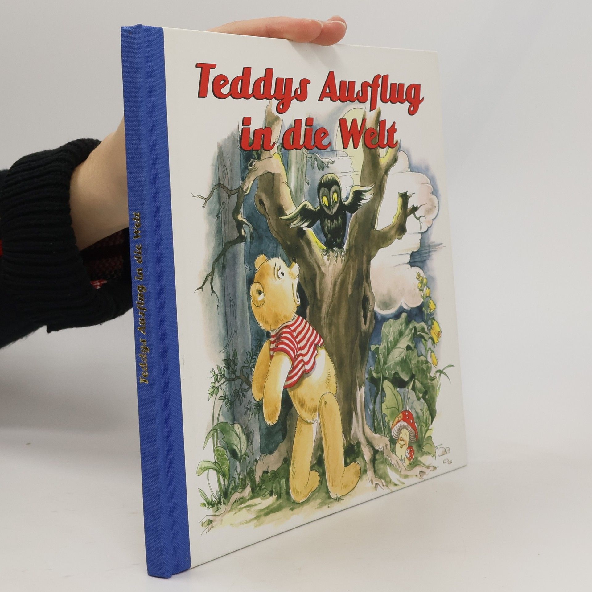 AA.VV. Teddys Ausflug in die Welt