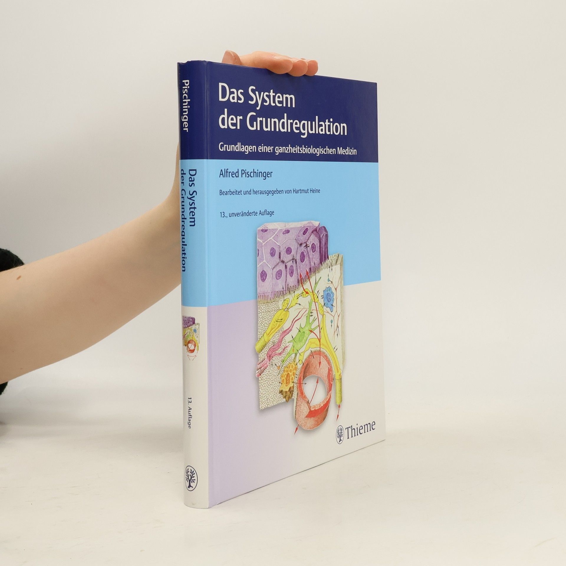 Alfred Pischinger Das System der Grundregulation