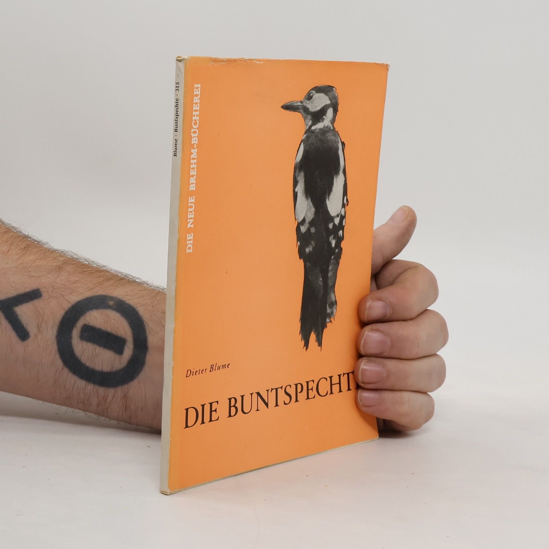 Dieter Blume Die Buntspecht