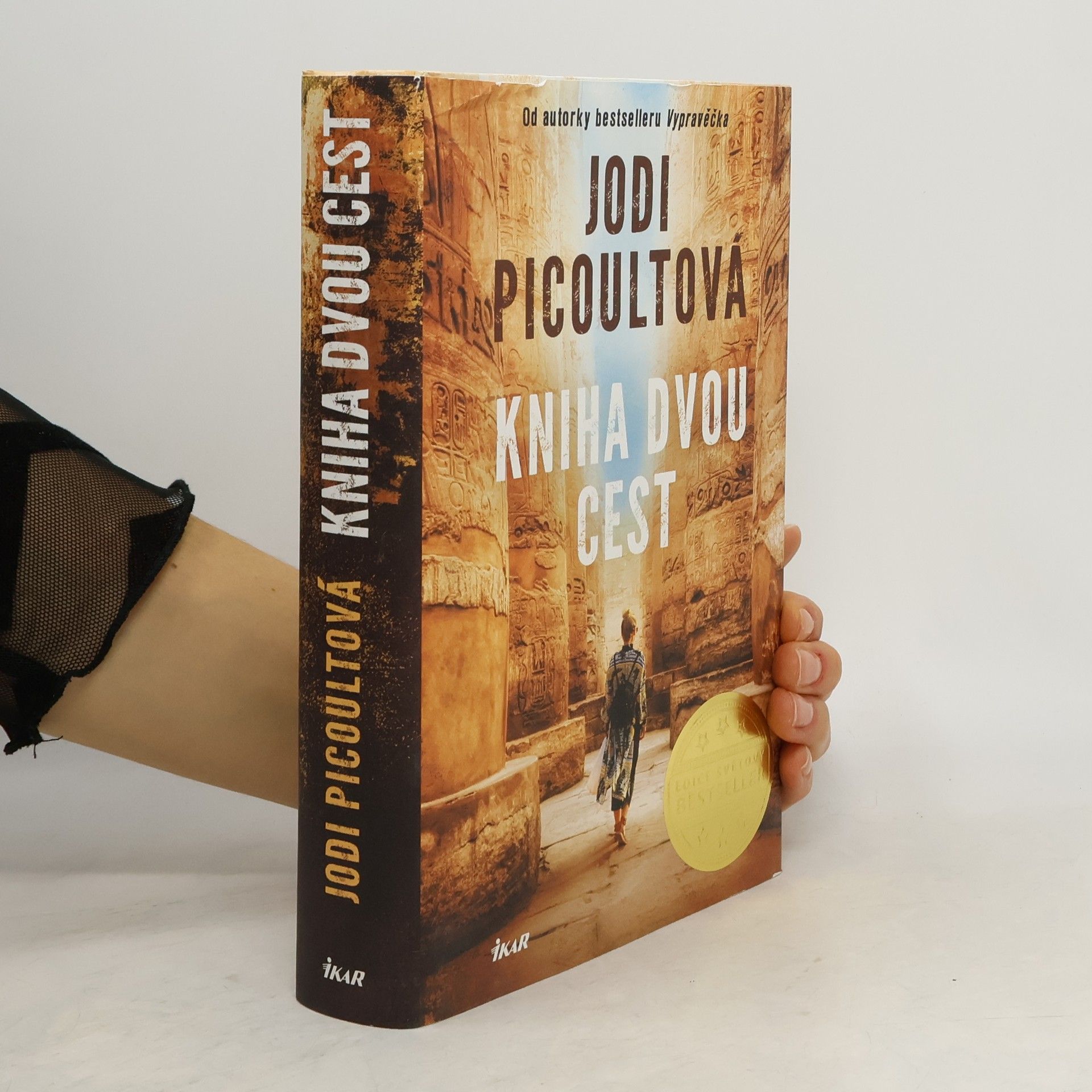 Jodi Picoult Kniha dvou cest