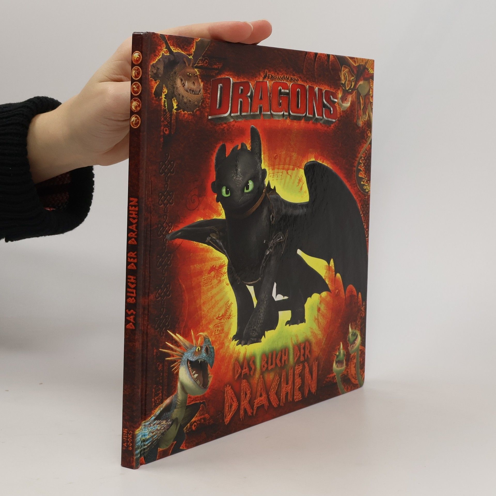 Maggie Testa Dragons - das Buch der Drachen