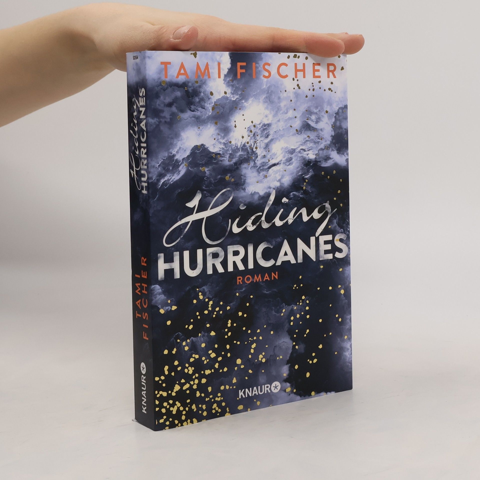 Tami Fischer Hiding Hurricanes