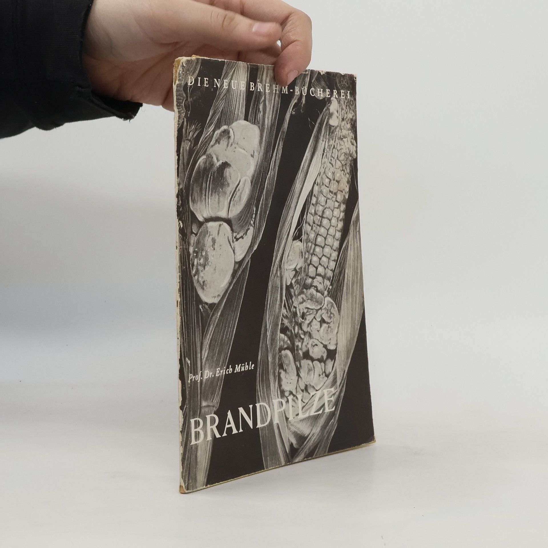 Erich Mühle Brandpilze