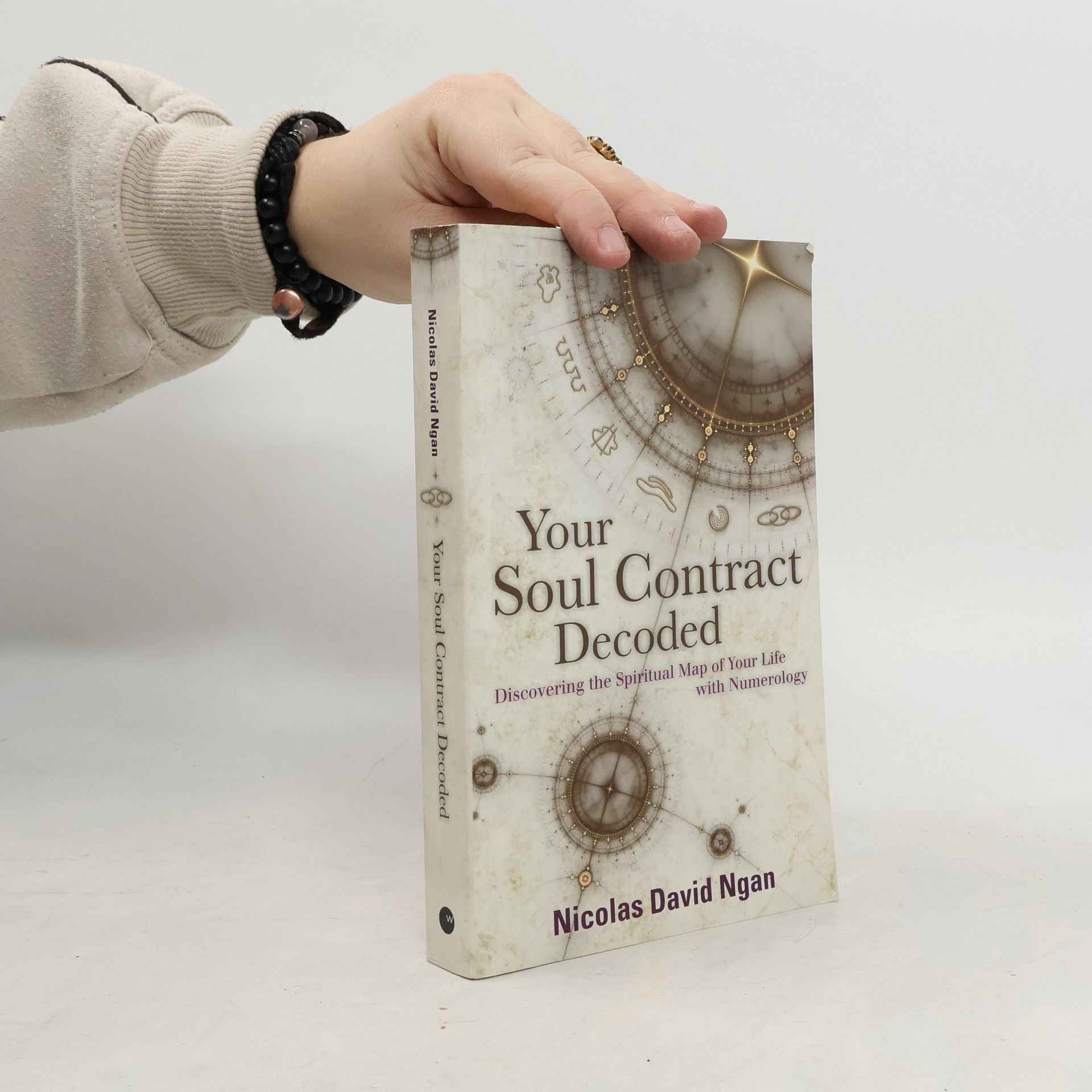 Nicolas David Ngan Your Soul Contract Decoded