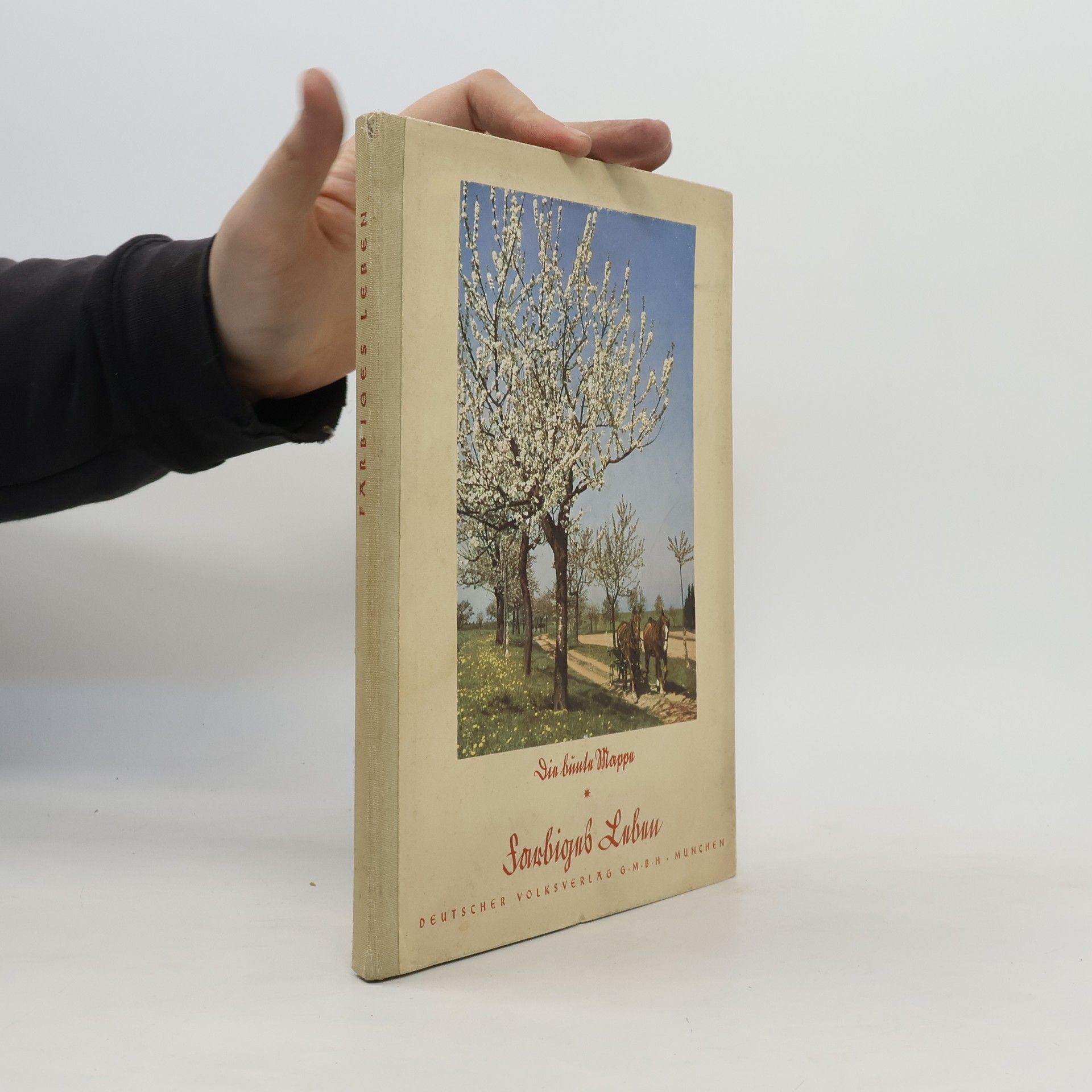 Kolektiv autorů Farbiges Leben