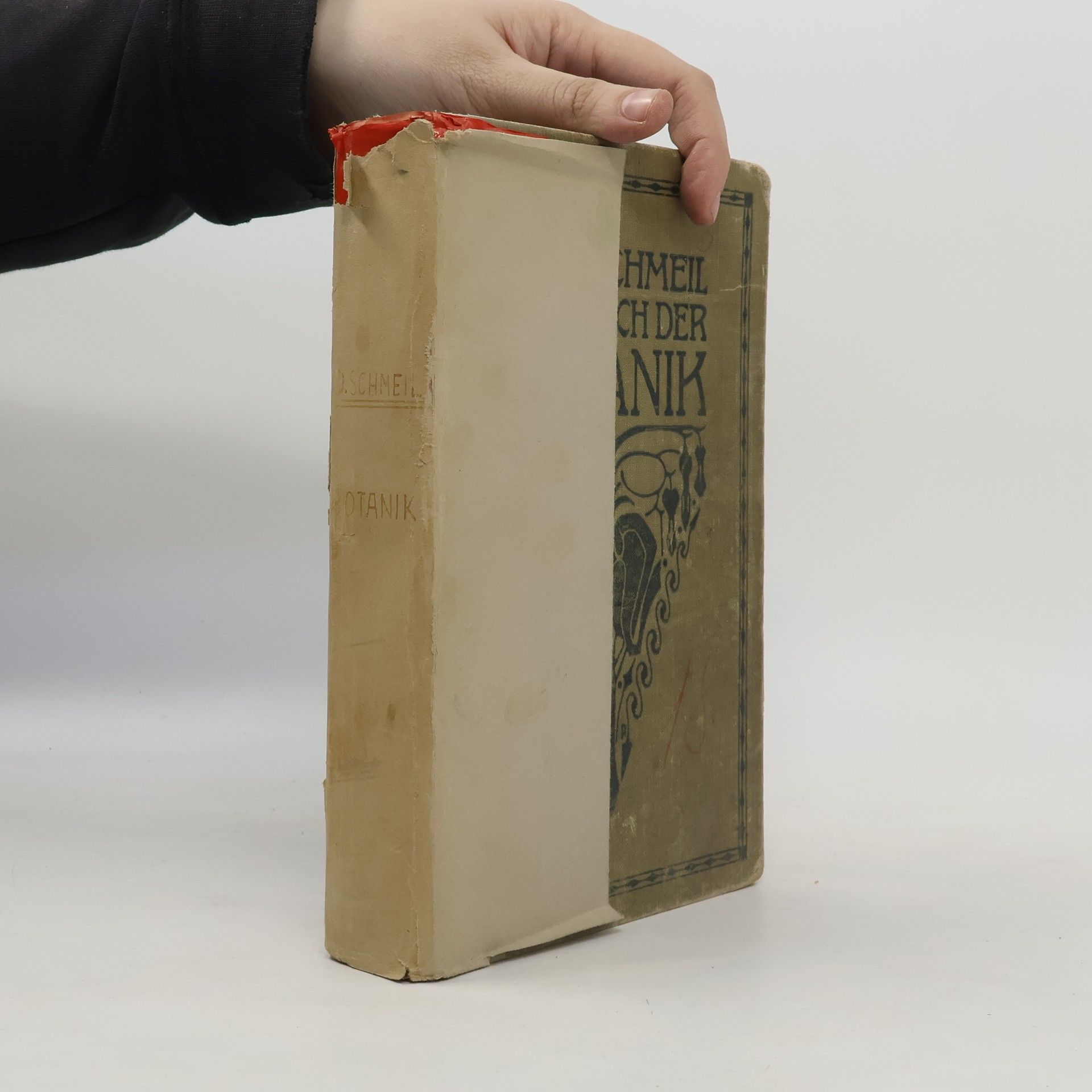 Otto Schmeil Lehrbuch der Botanik