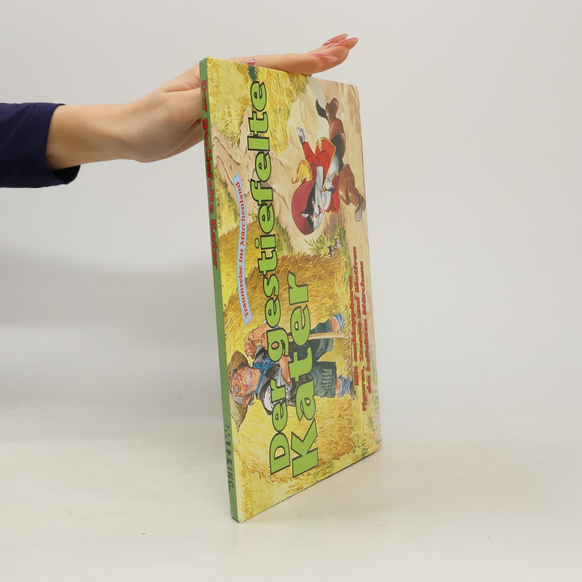 Collectif d'auteurs Der gestiefelte Kater. Pop-Up-Buch